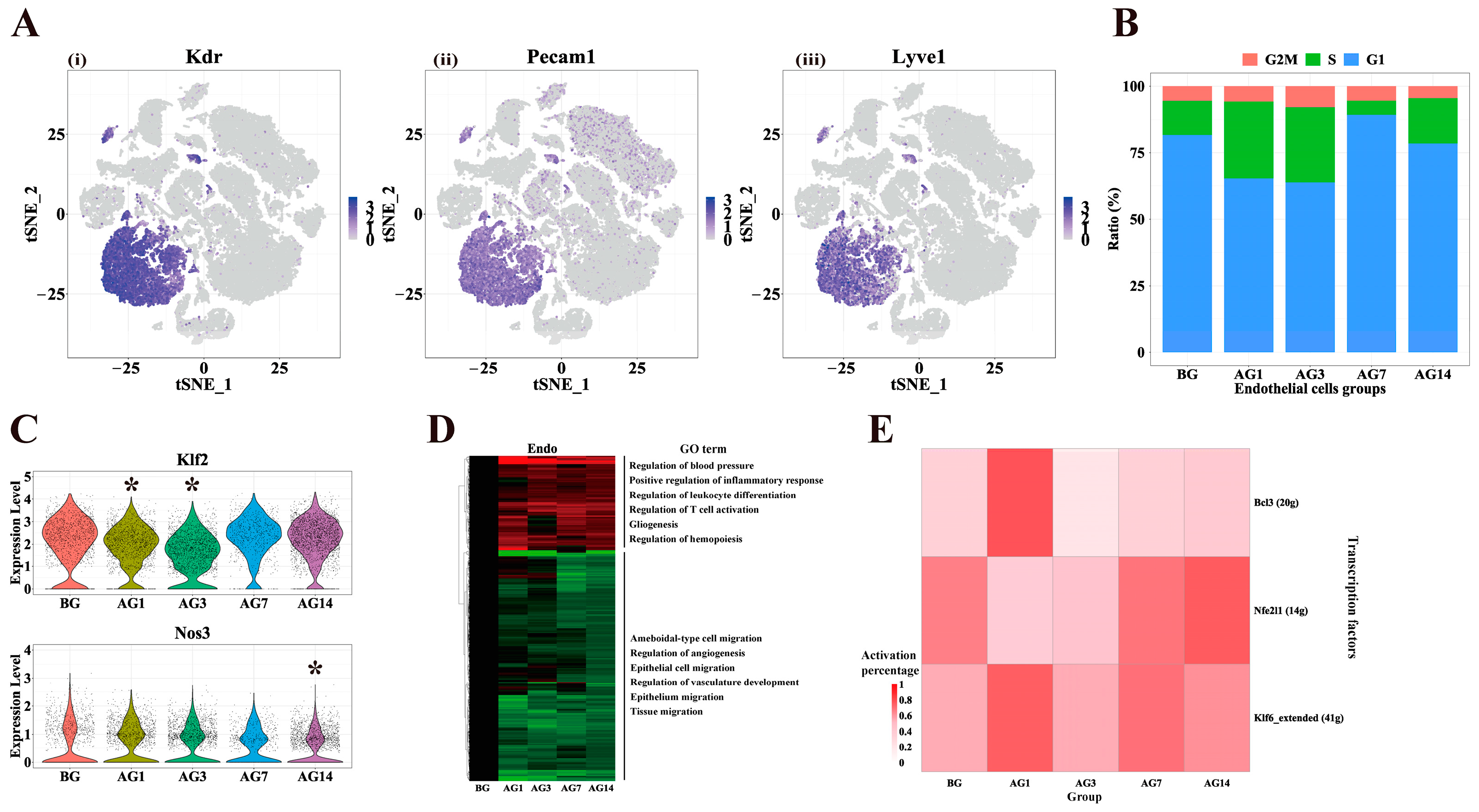 Ijms 24 04344 g005 Ijms 24 04344 g005