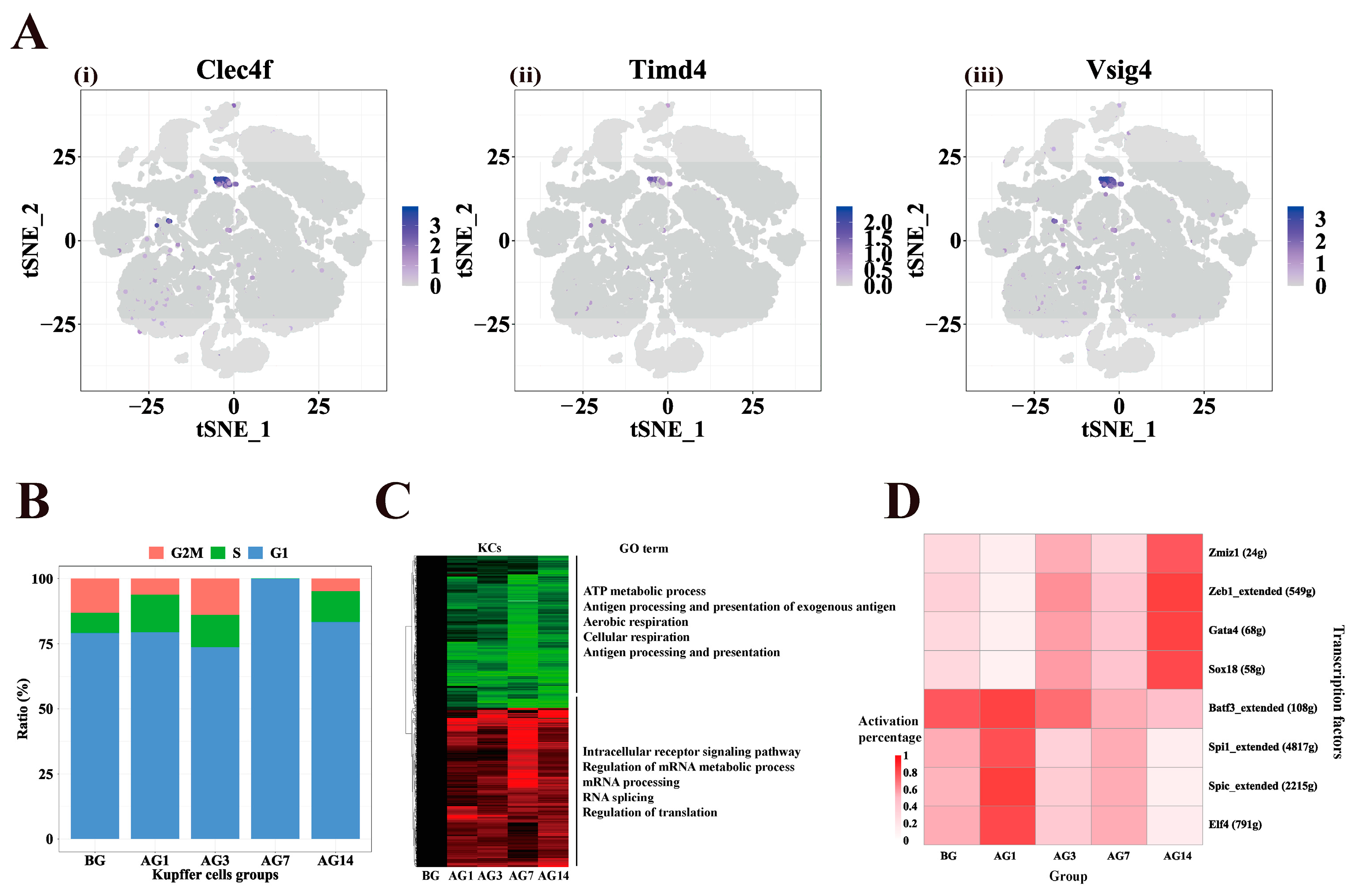 Ijms 24 04344 g006 Ijms 24 04344 g006