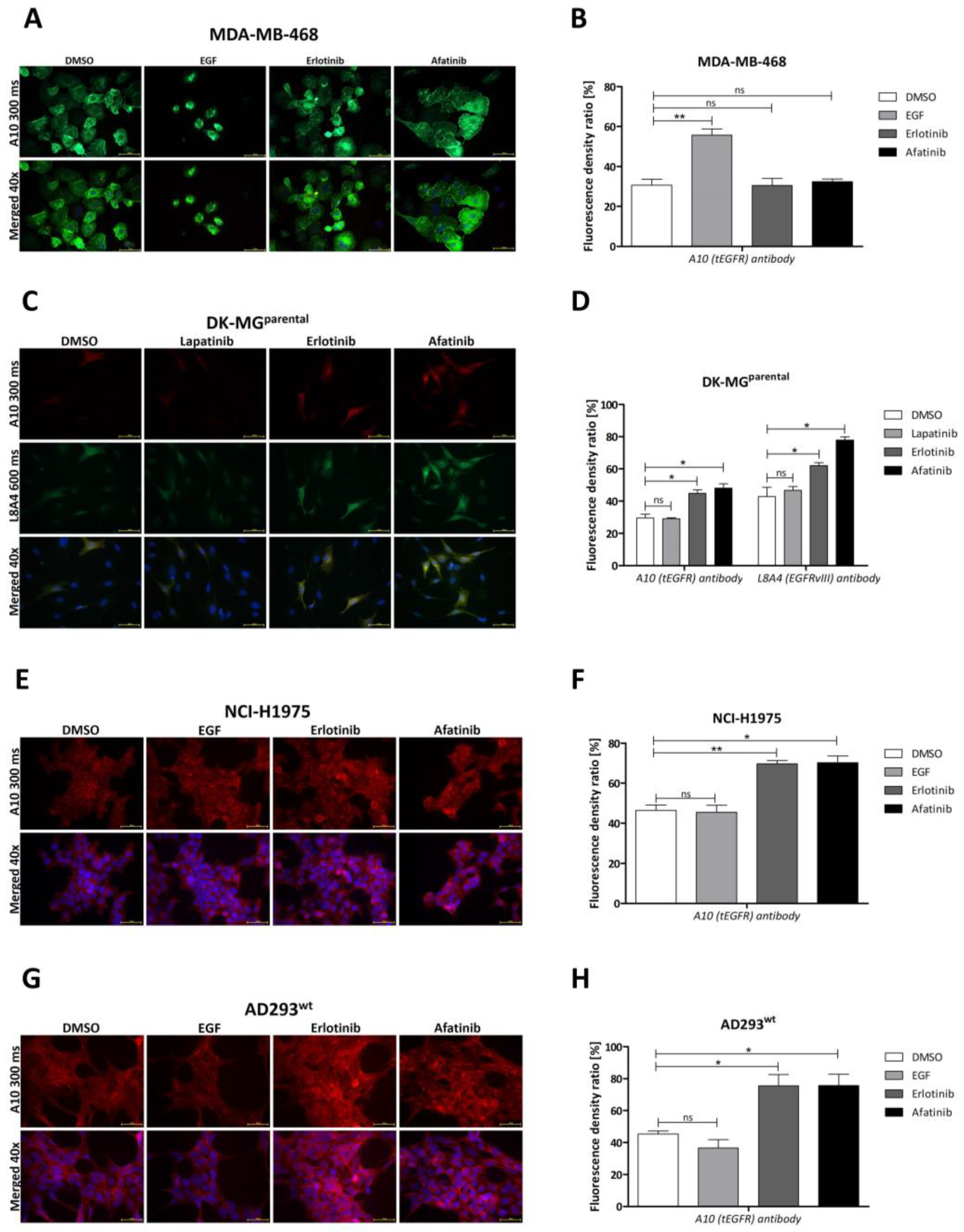 Ijms 24 04350 g002 Ijms 24 04350 g002