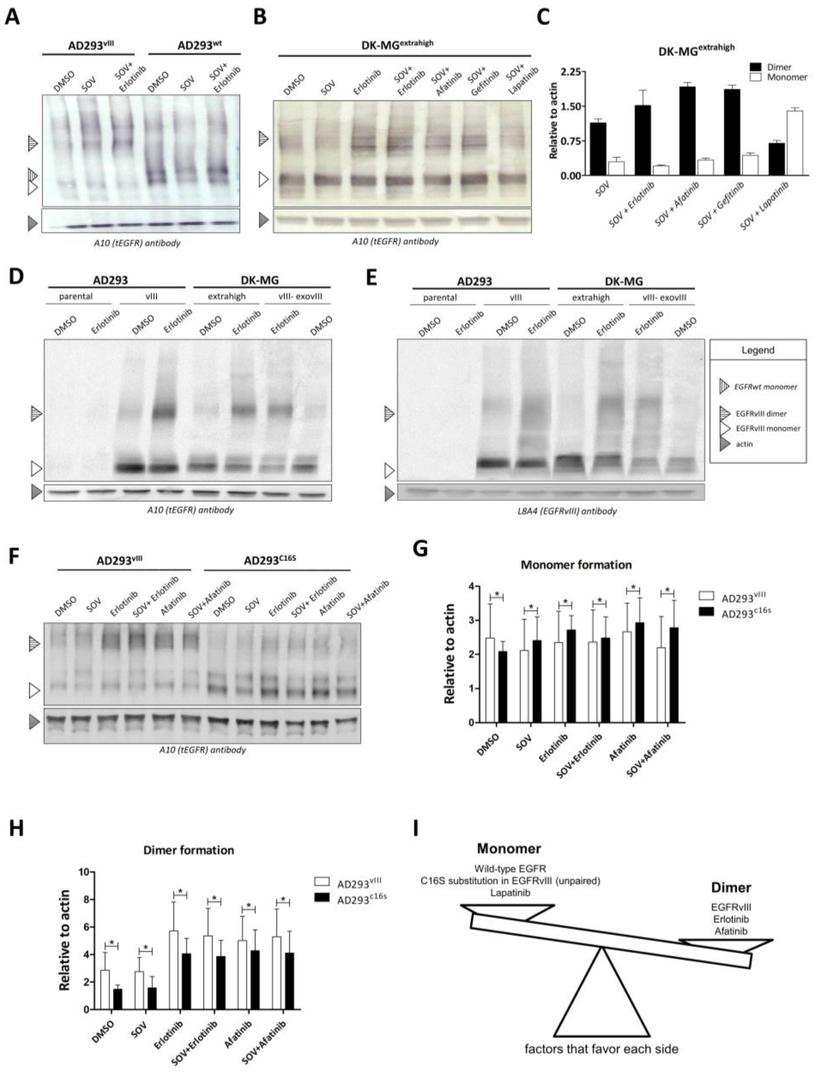 Ijms 24 04350 g003 Ijms 24 04350 g003