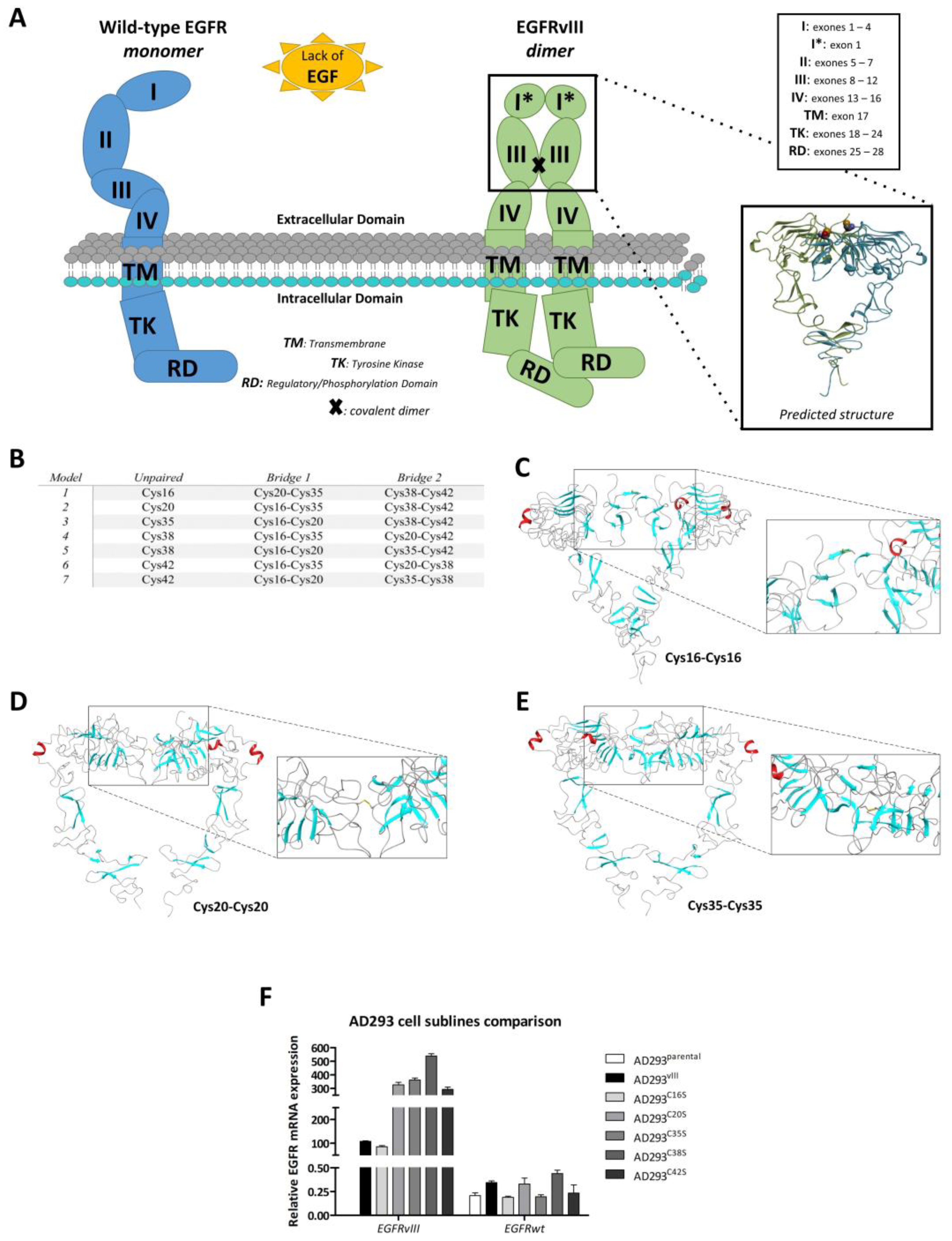 Ijms 24 04350 g004 Ijms 24 04350 g004