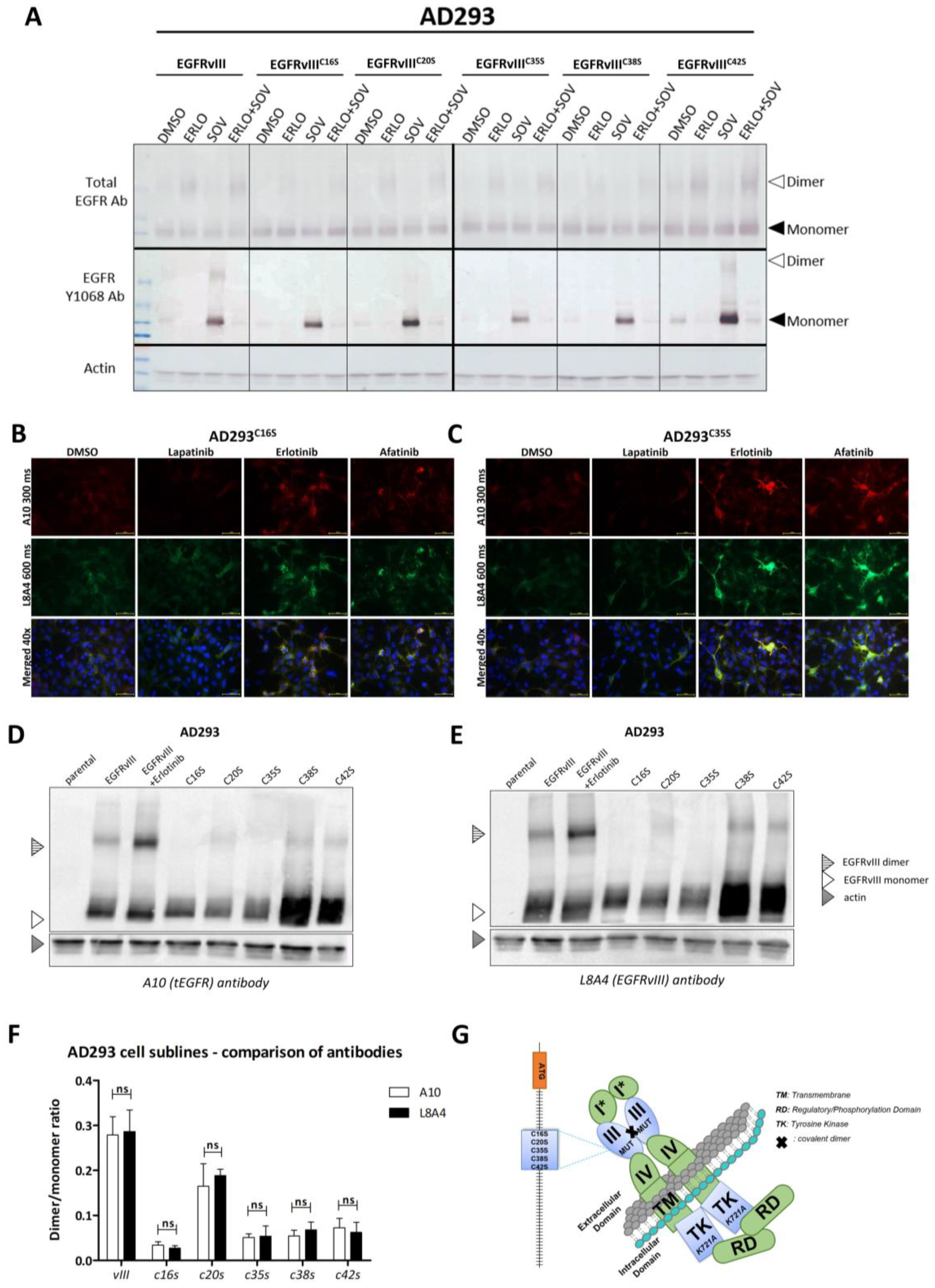 Ijms 24 04350 g005 Ijms 24 04350 g005