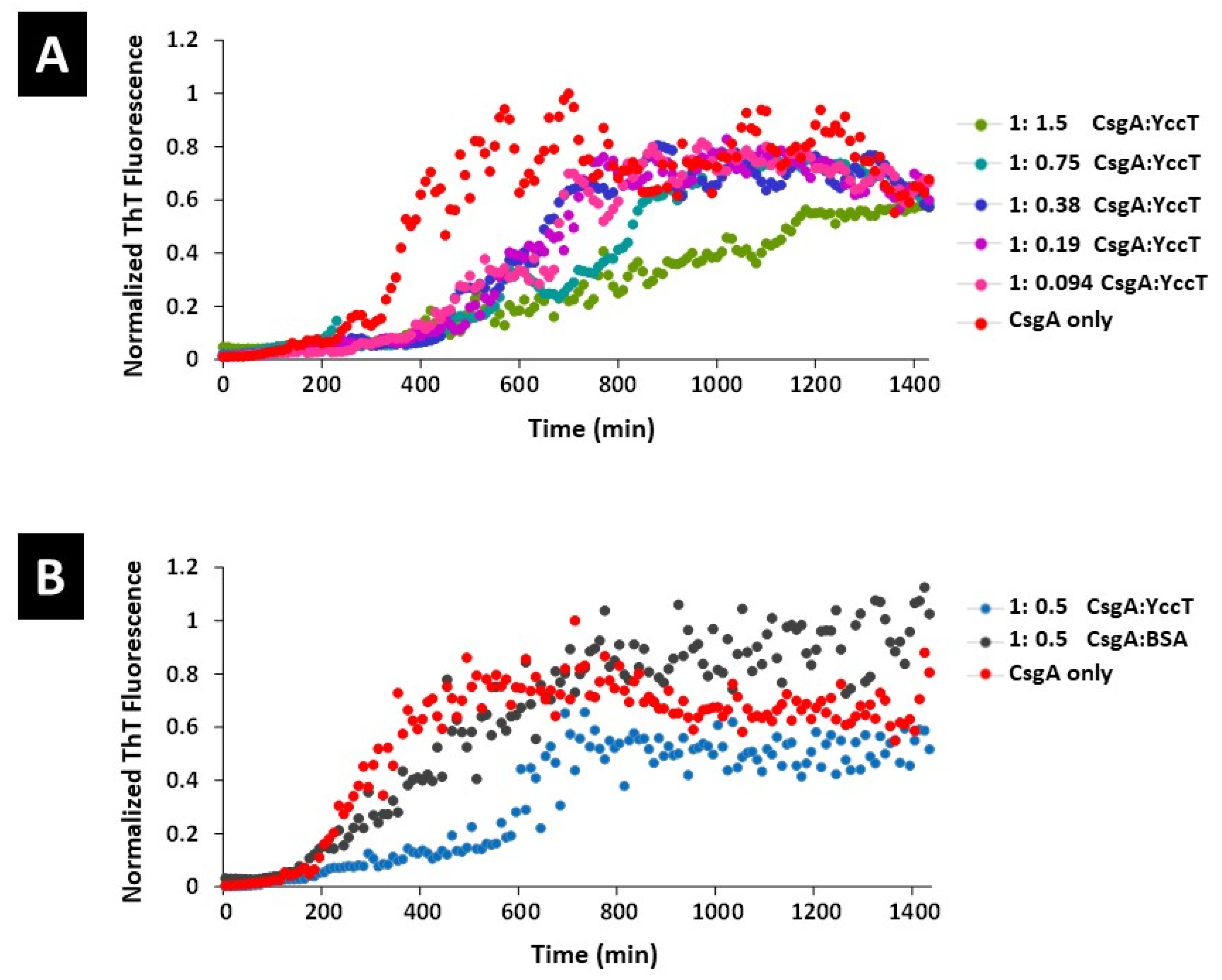 Ijms 24 04357 g004 Ijms 24 04357 g004