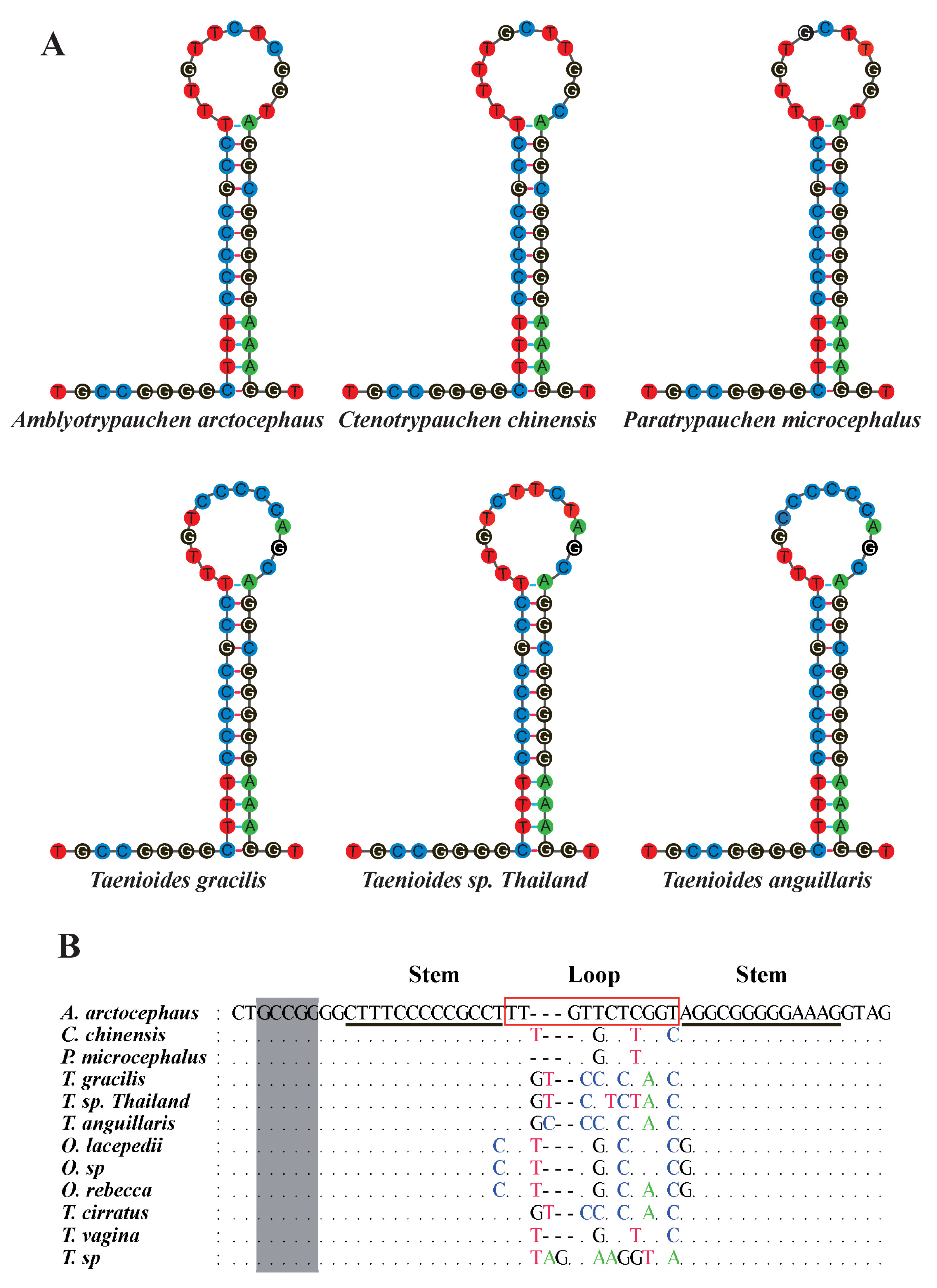 Ijms 24 04362 g002 Ijms 24 04362 g002