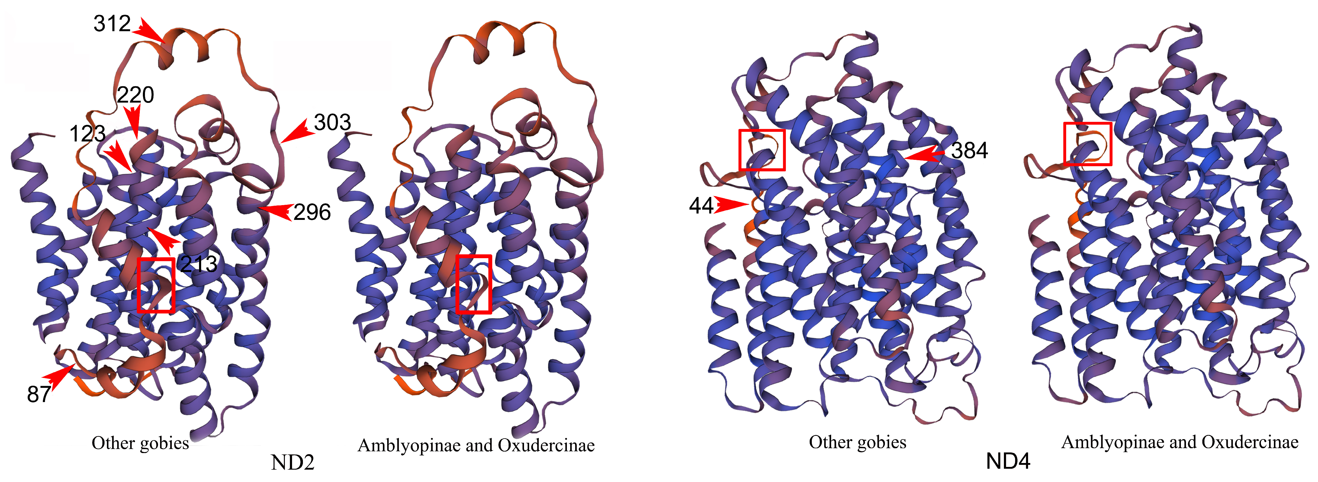 Ijms 24 04362 g005 Ijms 24 04362 g005