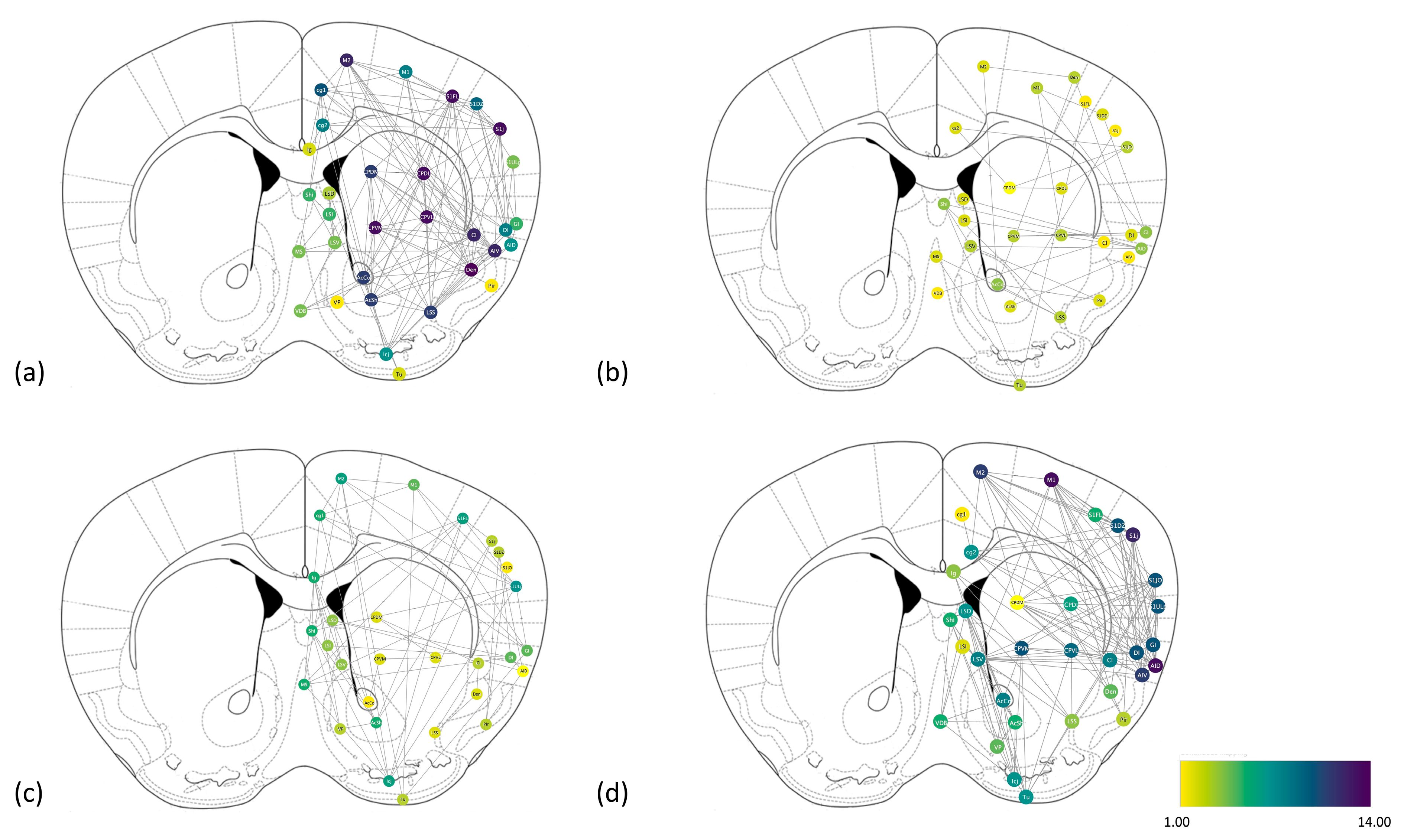Ijms 24 04372 g004 Ijms 24 04372 g004