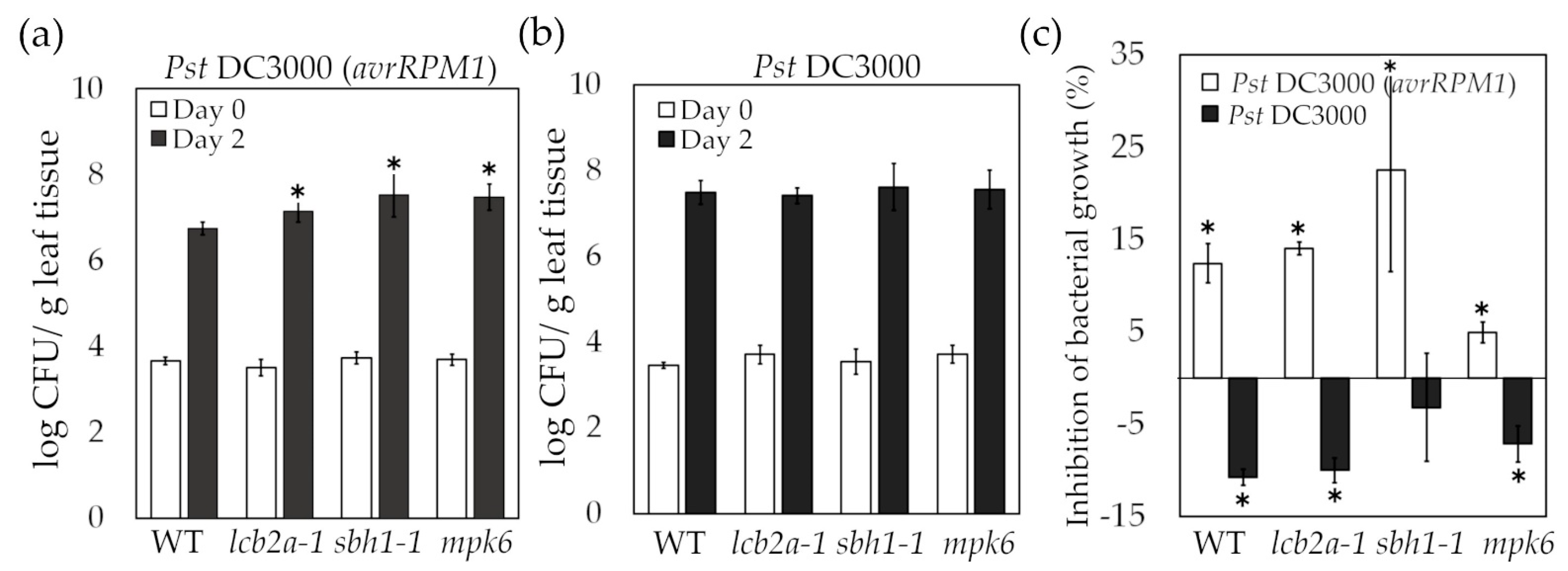 Ijms 24 04384 g002 Ijms 24 04384 g002