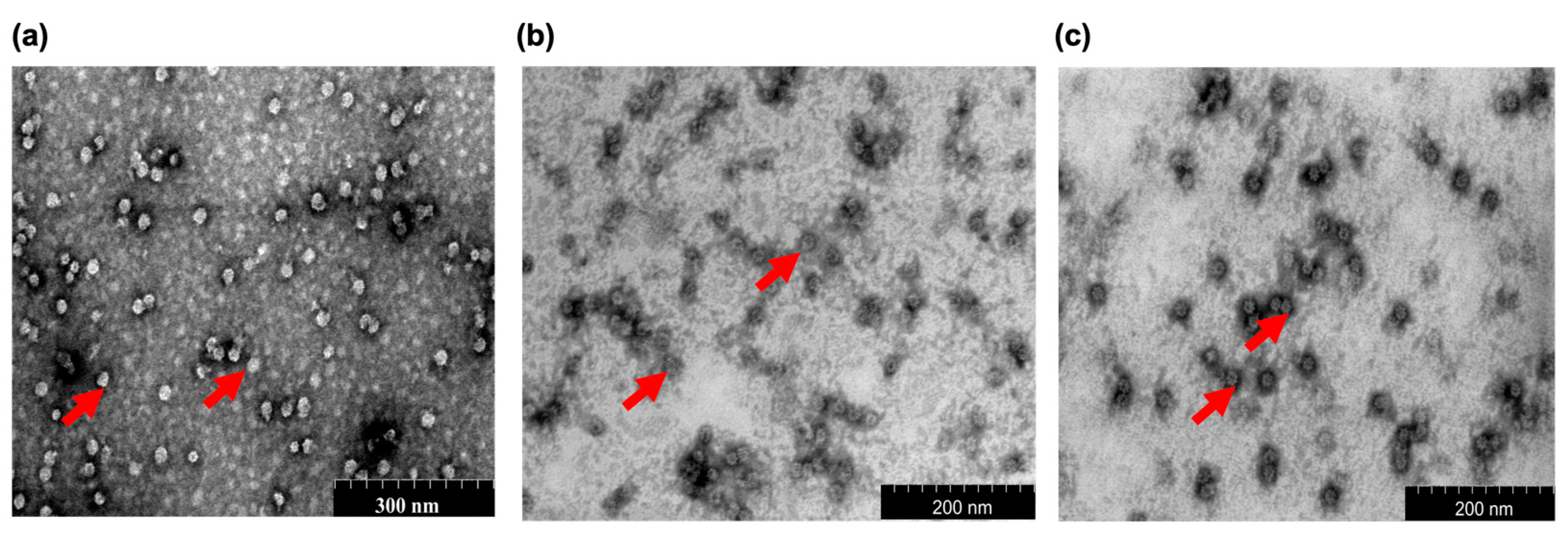 Ijms 24 04398 g002 Ijms 24 04398 g002