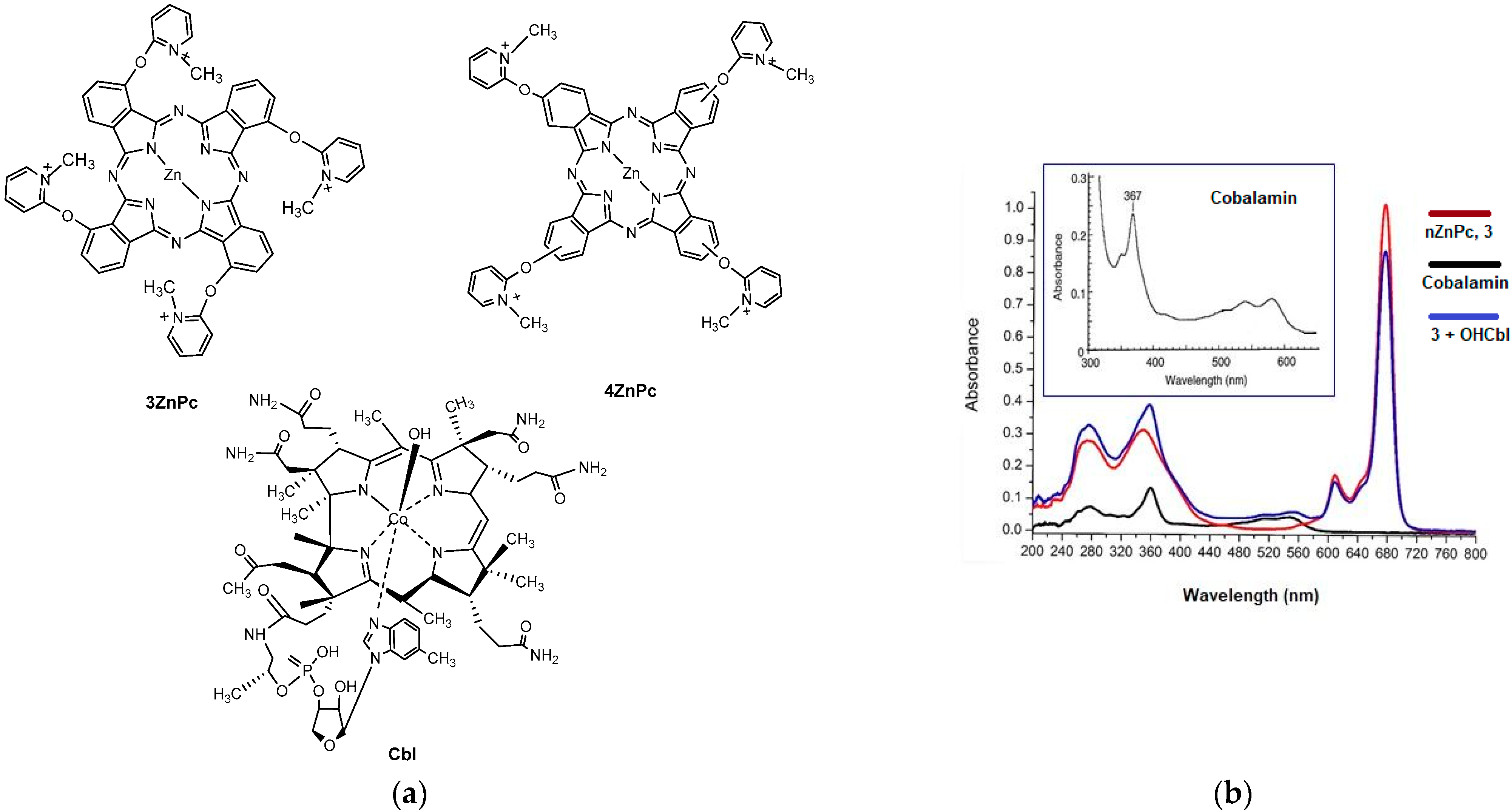 Ijms 24 04400 g001 Ijms 24 04400 g001