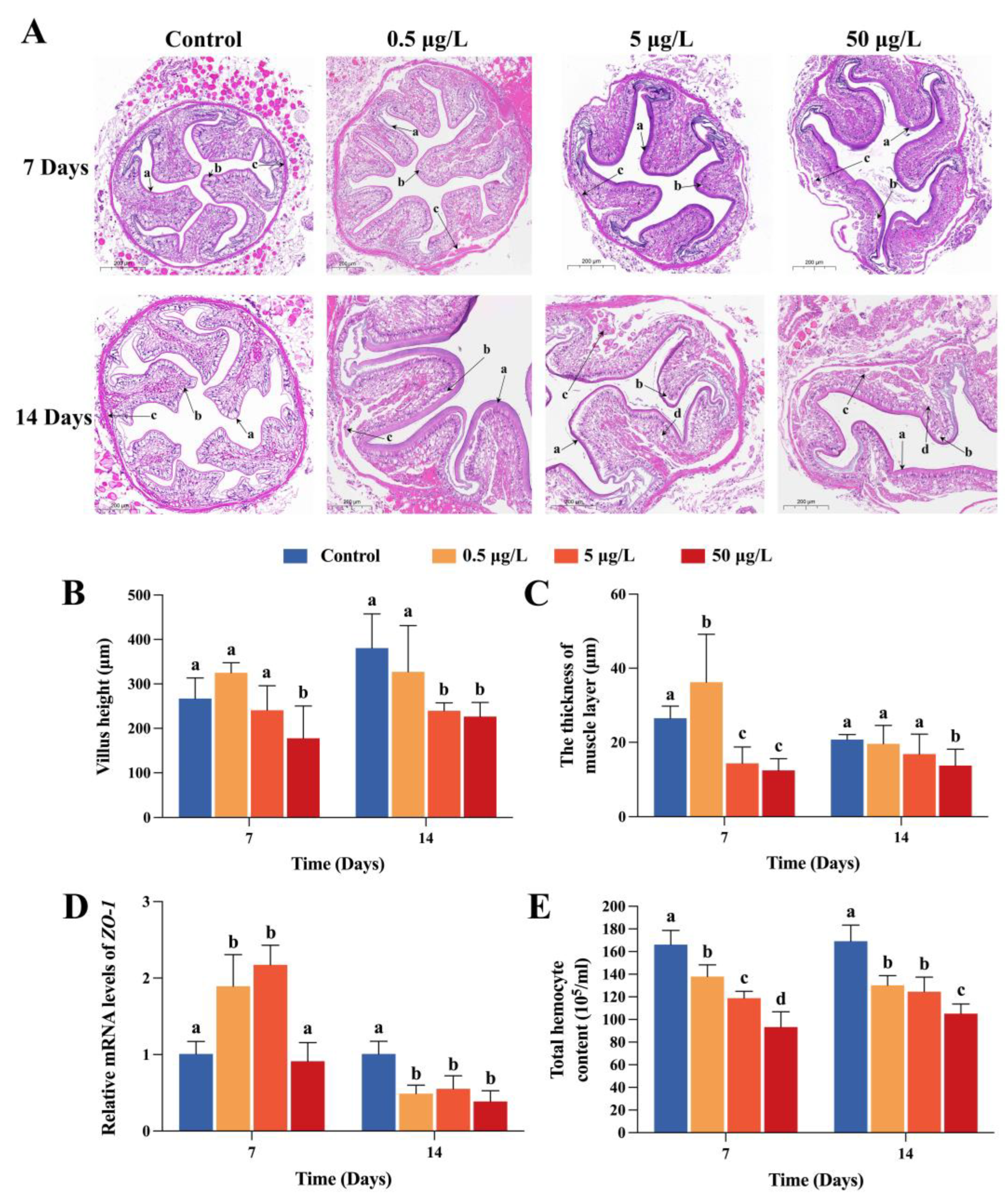 Ijms 24 04412 g001 Ijms 24 04412 g001