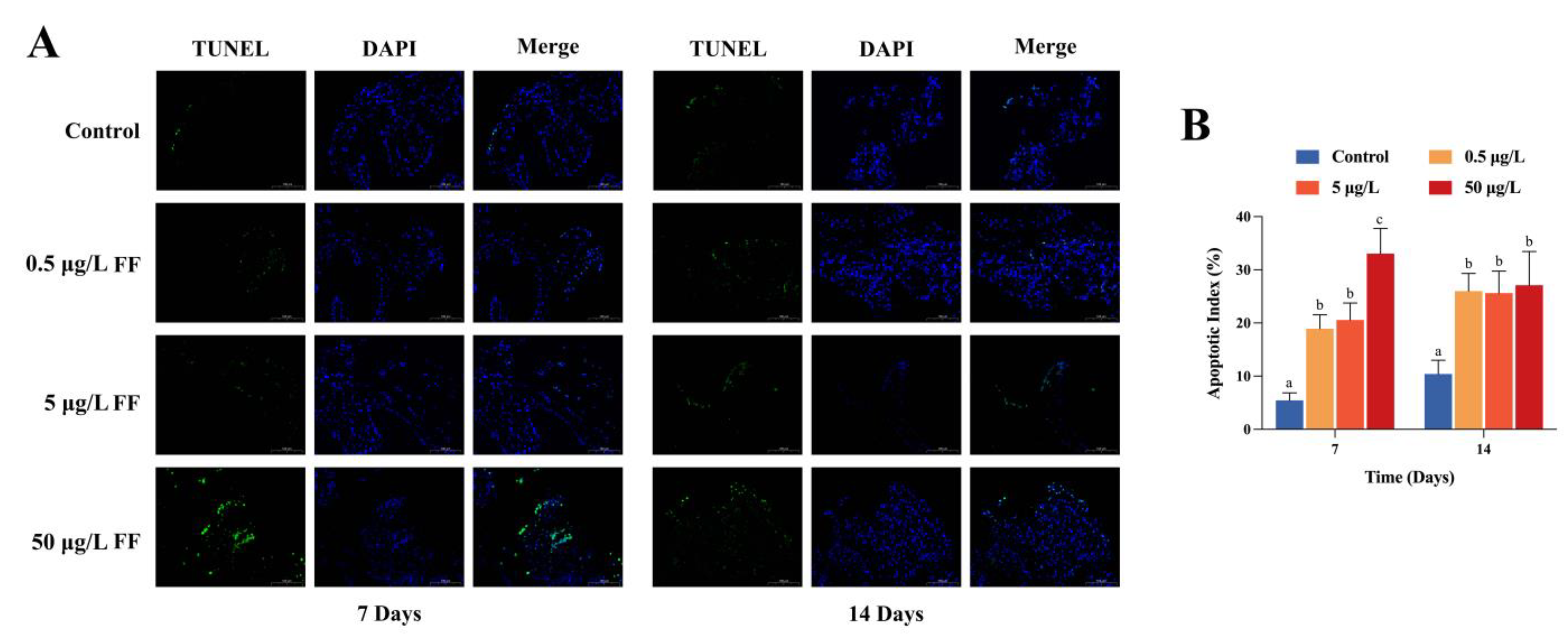 Ijms 24 04412 g002 Ijms 24 04412 g002