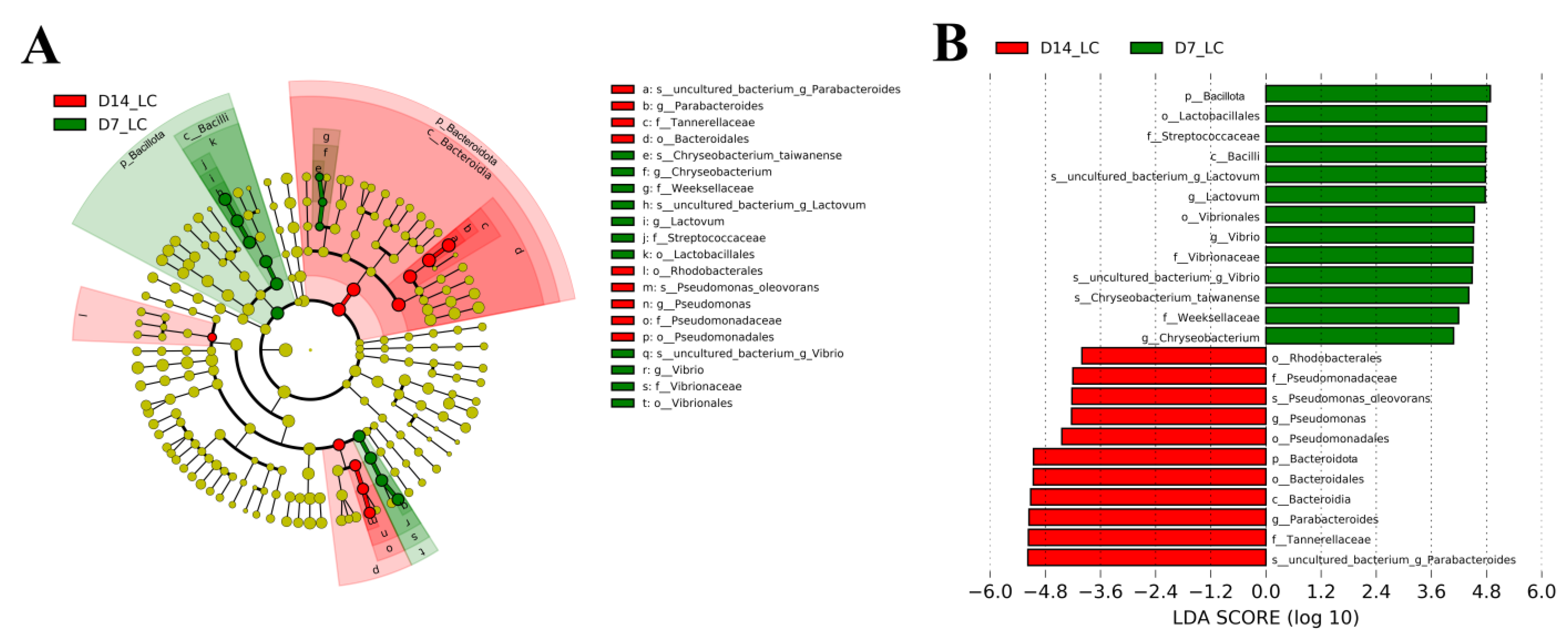 Ijms 24 04412 g007 Ijms 24 04412 g007