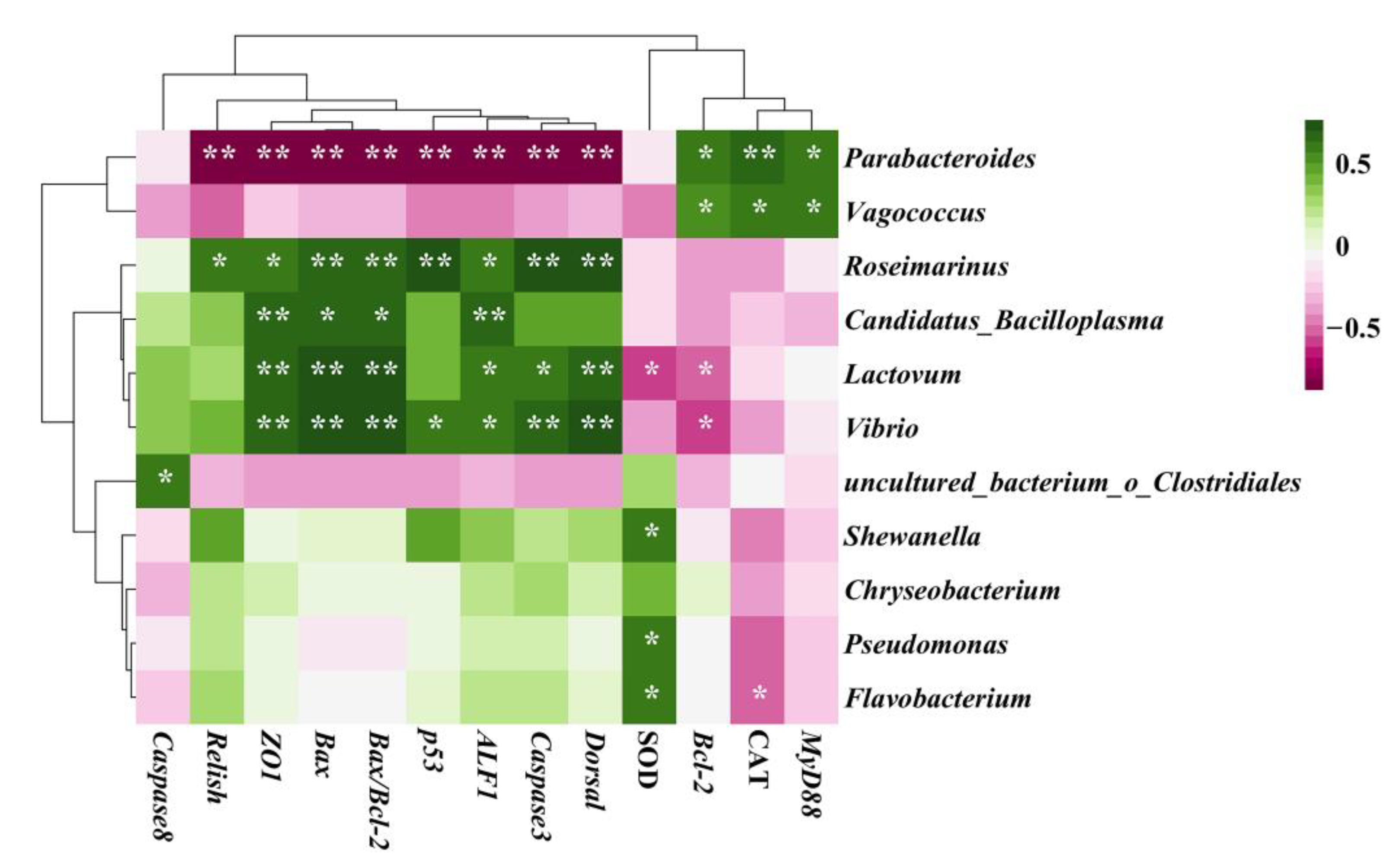 Ijms 24 04412 g009 Ijms 24 04412 g009