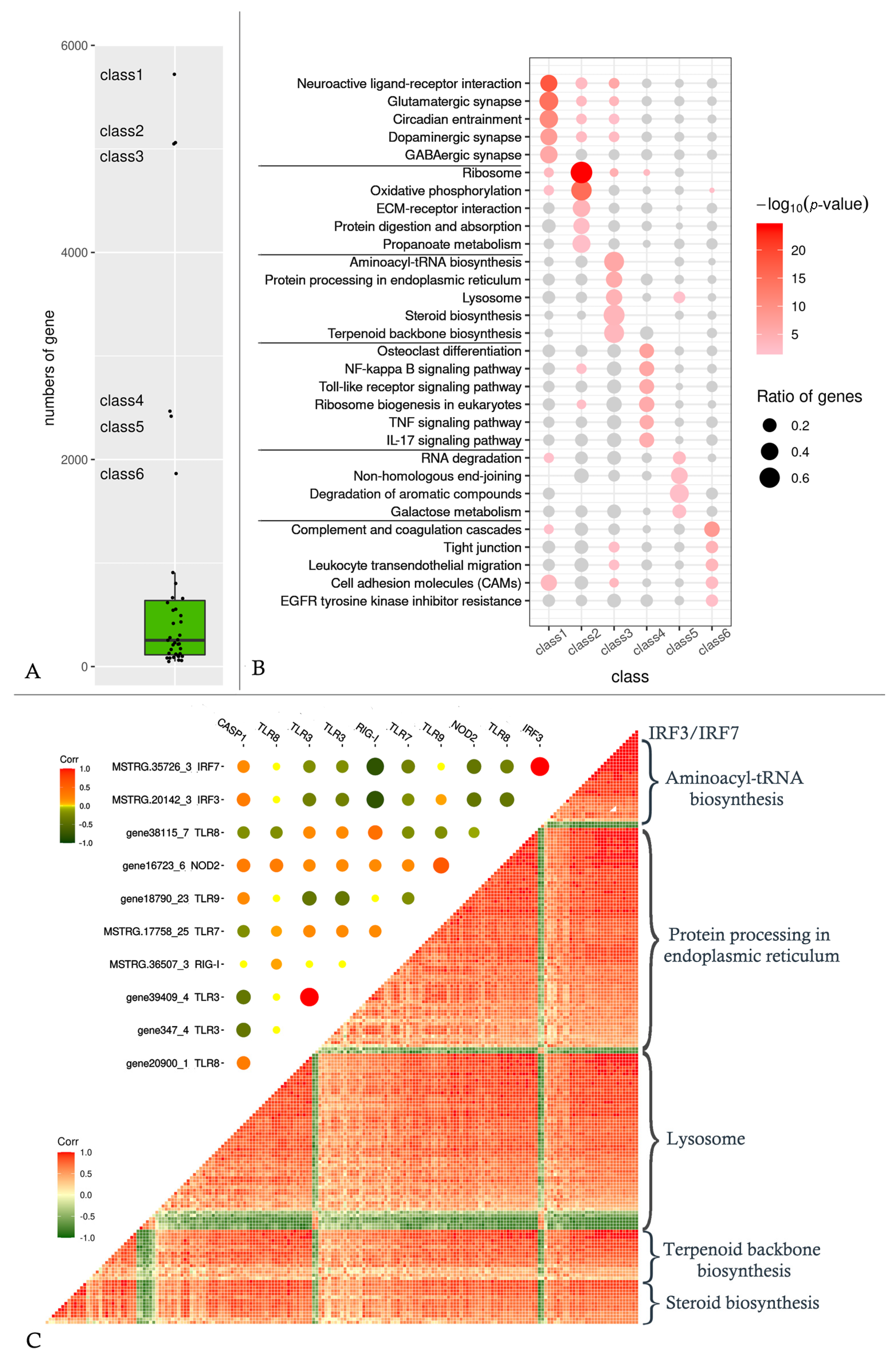 Ijms 24 04427 g005 Ijms 24 04427 g005