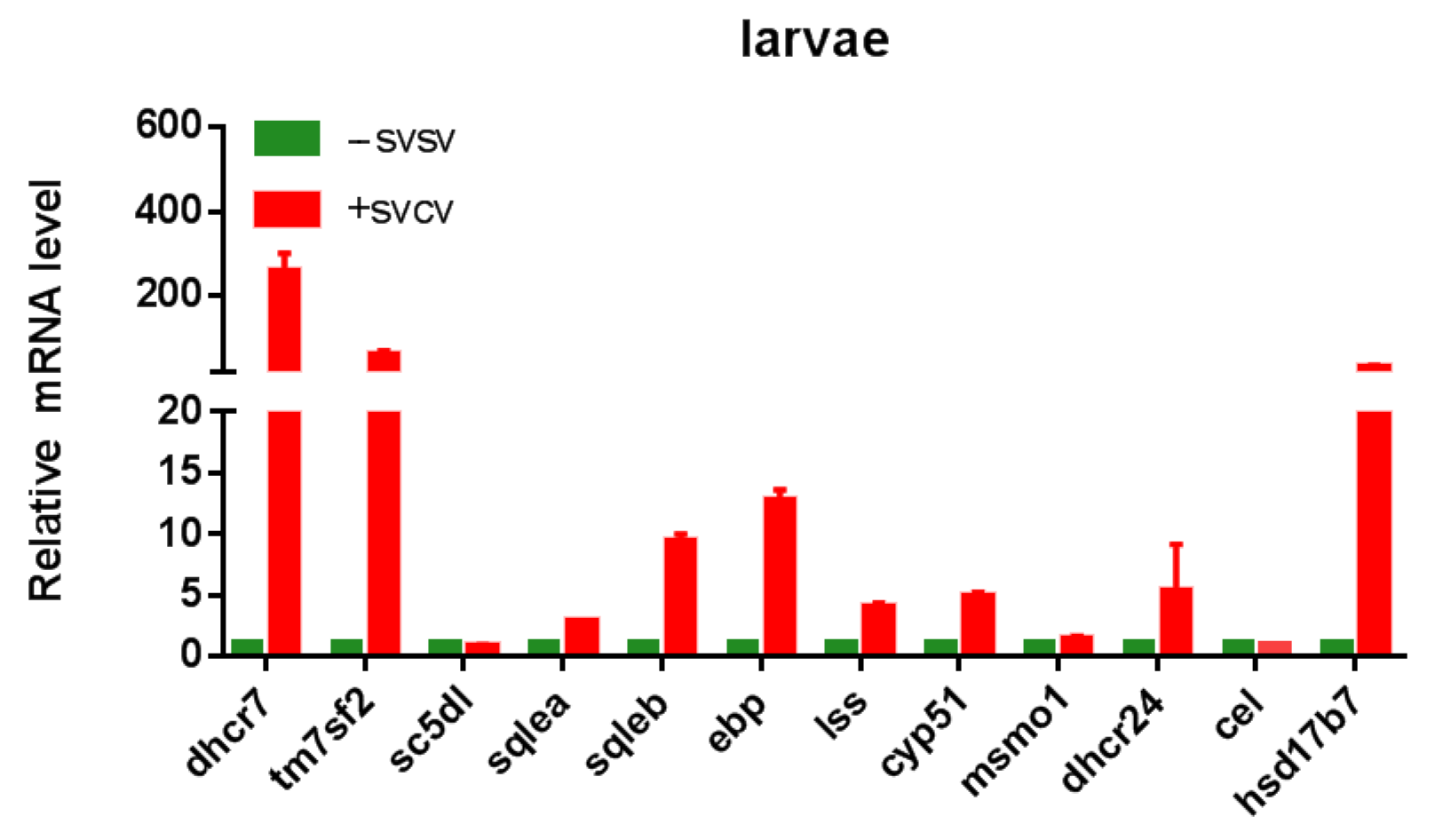 Ijms 24 04427 g006 Ijms 24 04427 g006