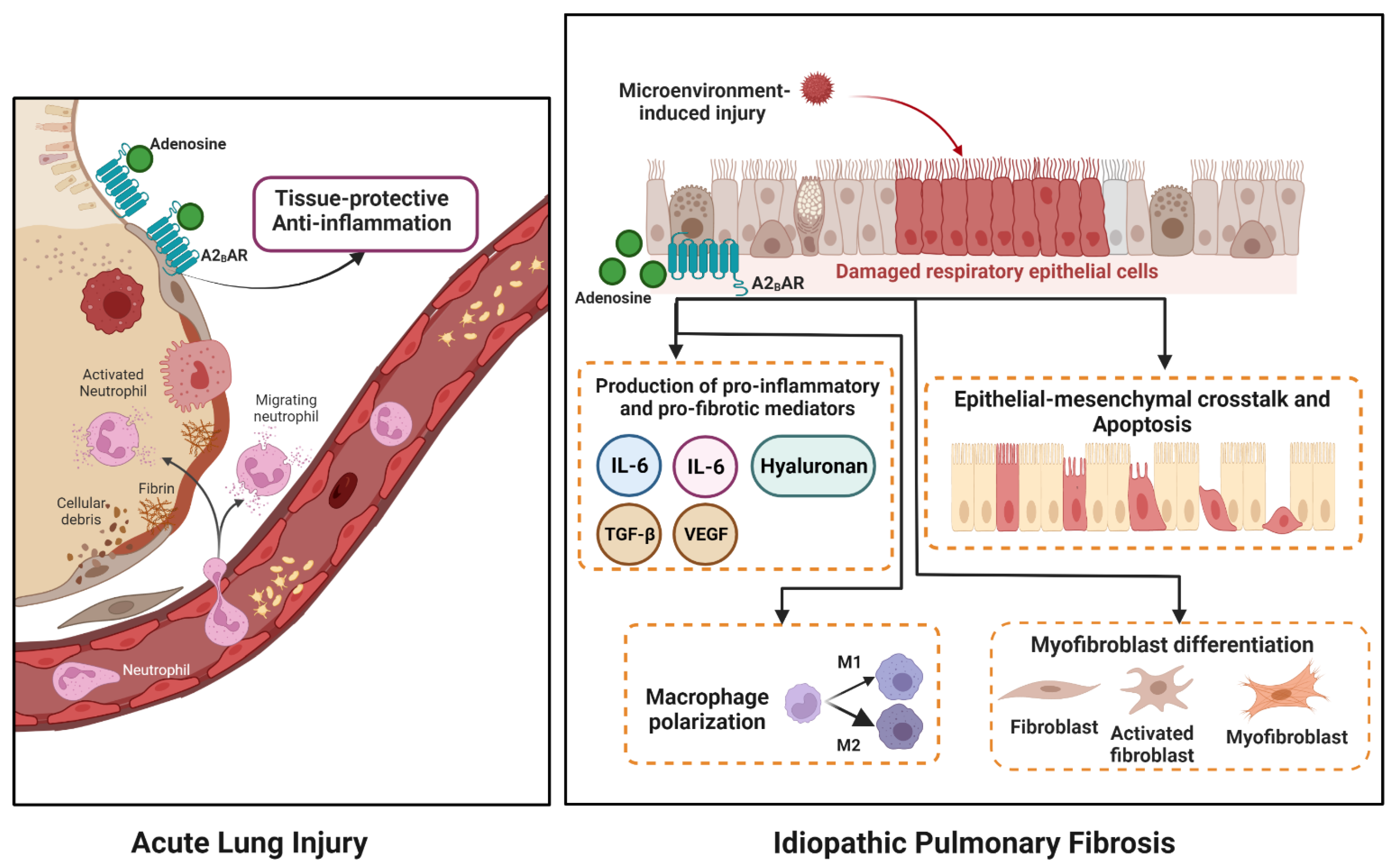 Ijms 24 04428 g002 Ijms 24 04428 g002