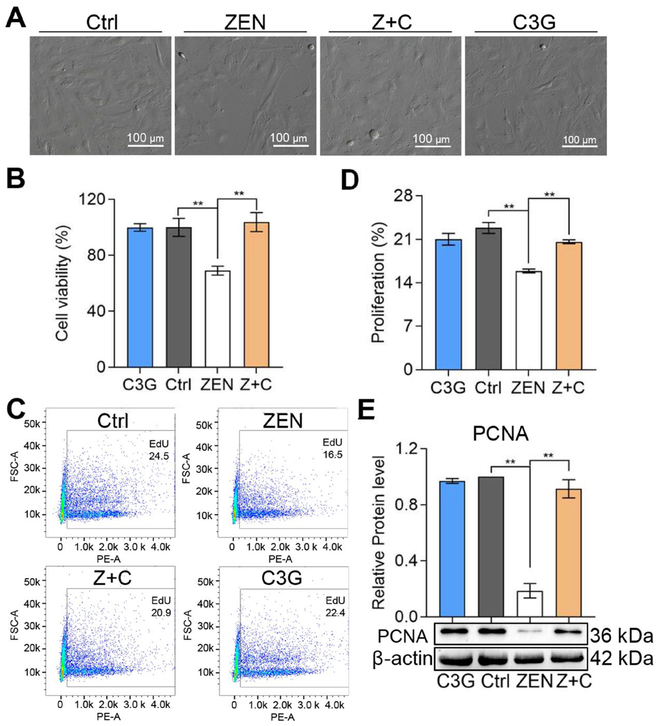 Ijms 24 04441 g001 Ijms 24 04441 g001