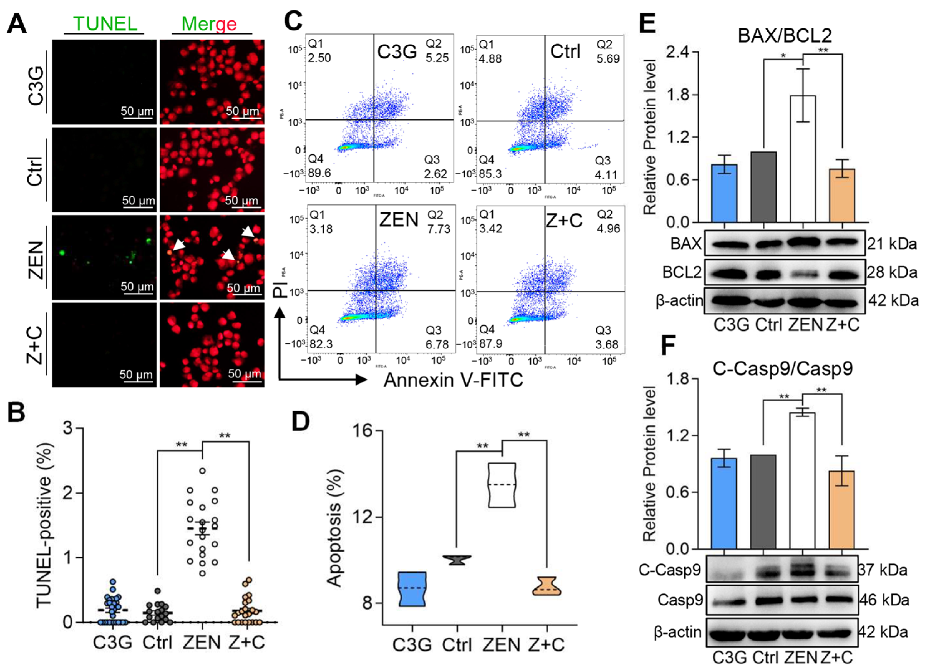 Ijms 24 04441 g002 Ijms 24 04441 g002