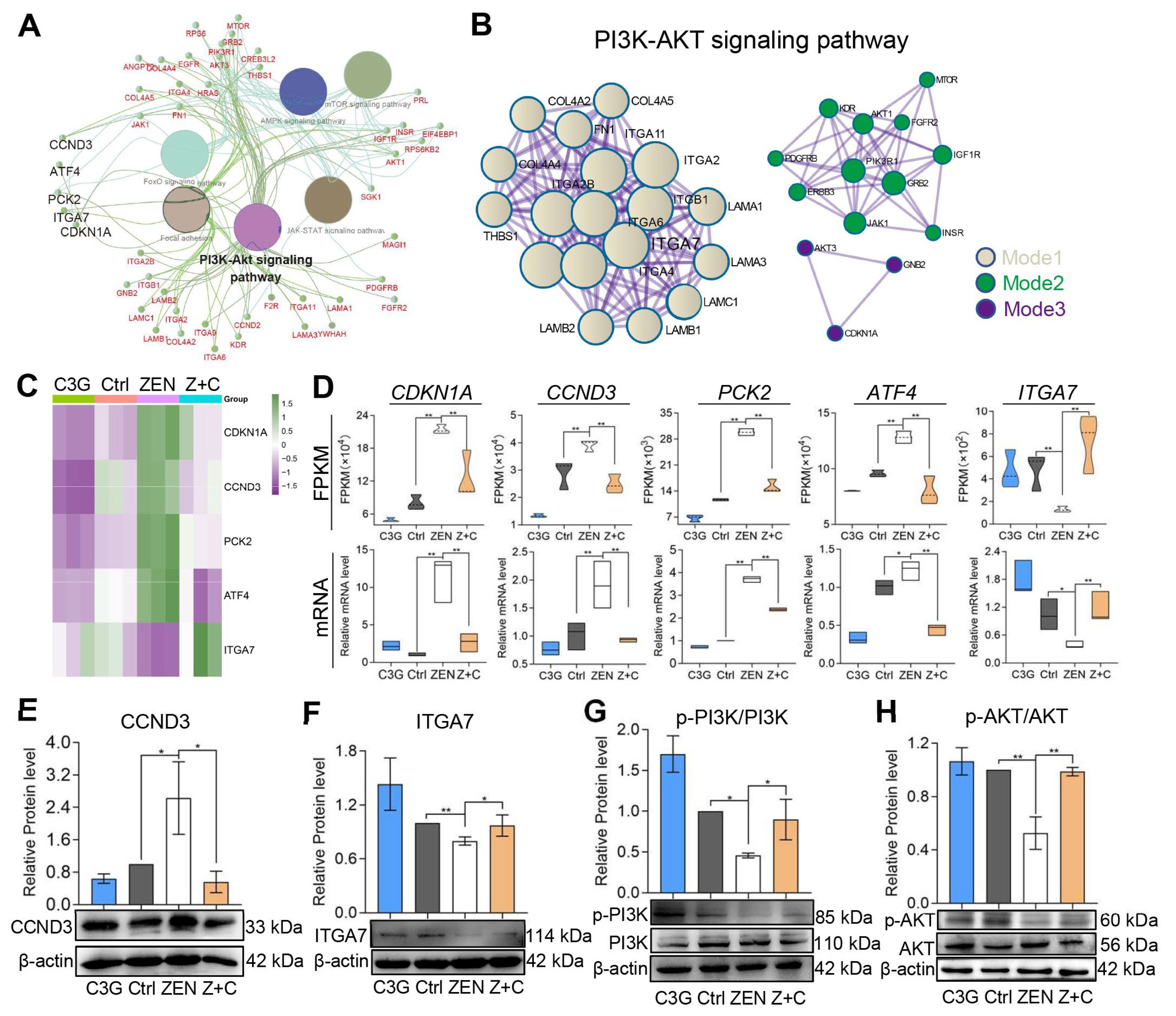 Ijms 24 04441 g004 Ijms 24 04441 g004