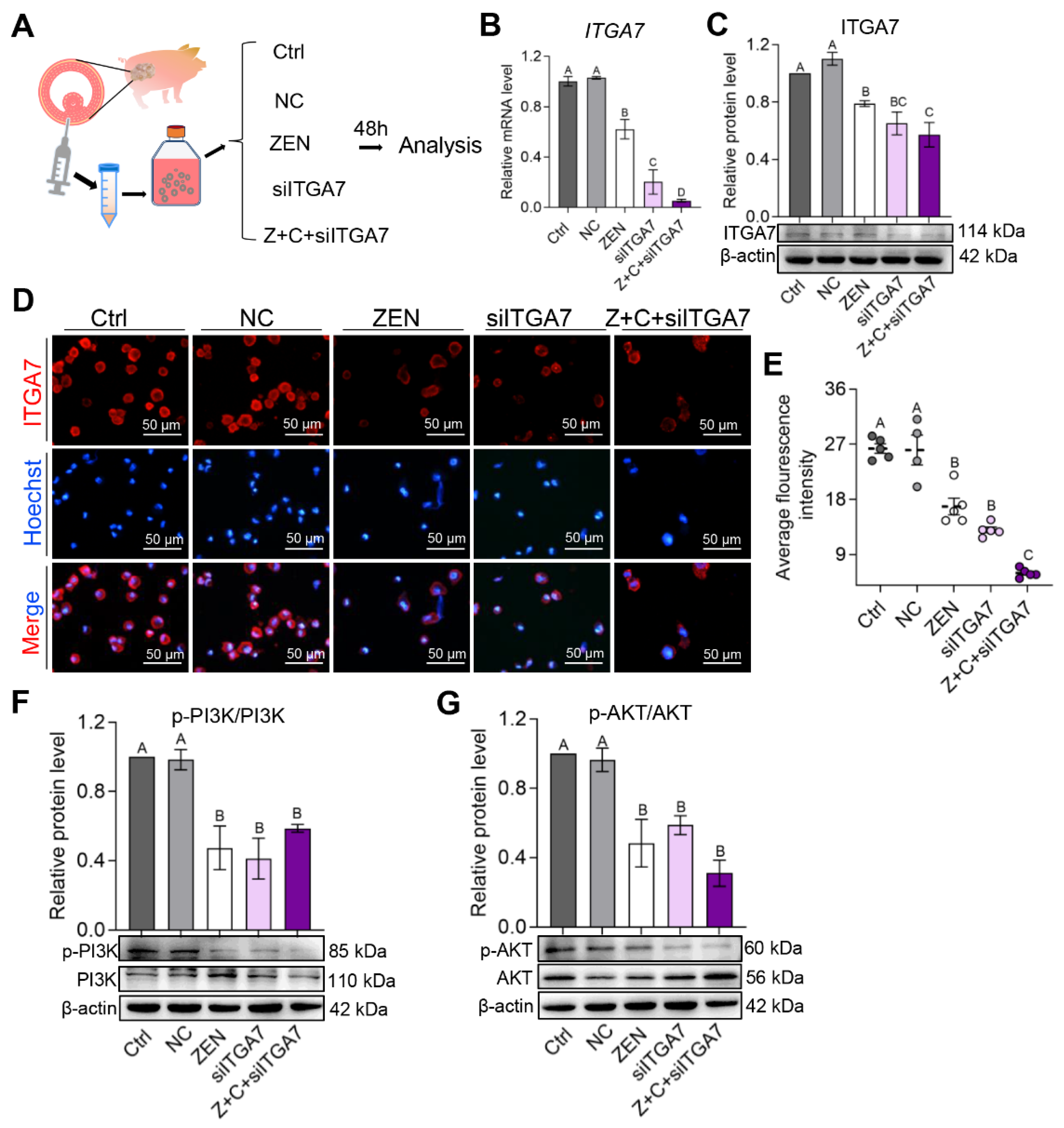 Ijms 24 04441 g005 Ijms 24 04441 g005