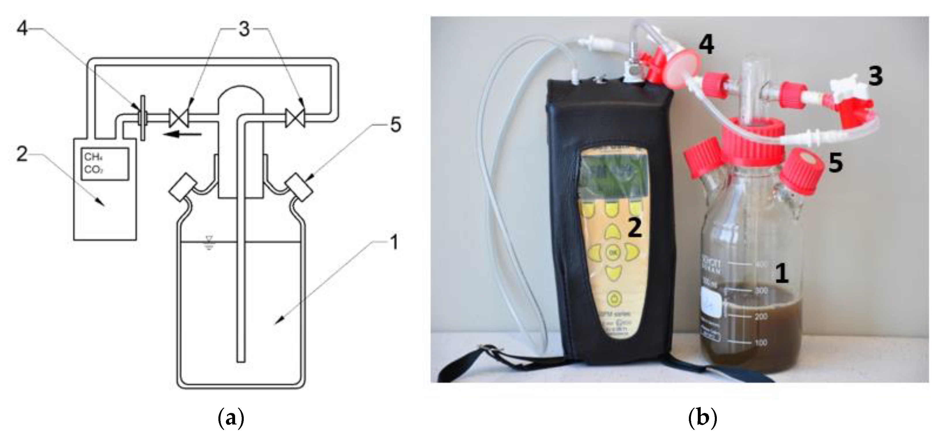 Ijms 24 04442 g012 Ijms 24 04442 g012