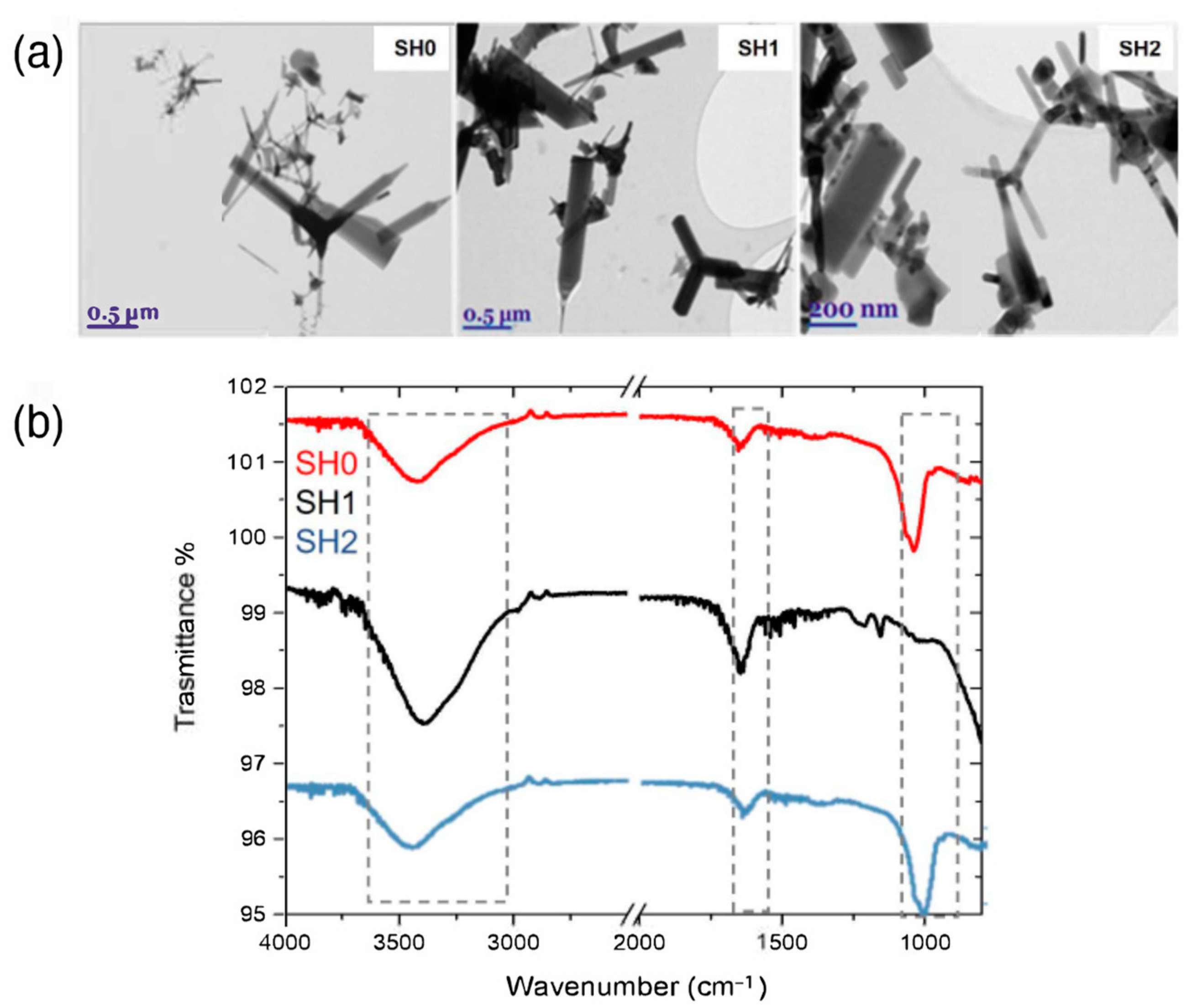 Ijms 24 04449 g001 Ijms 24 04449 g001