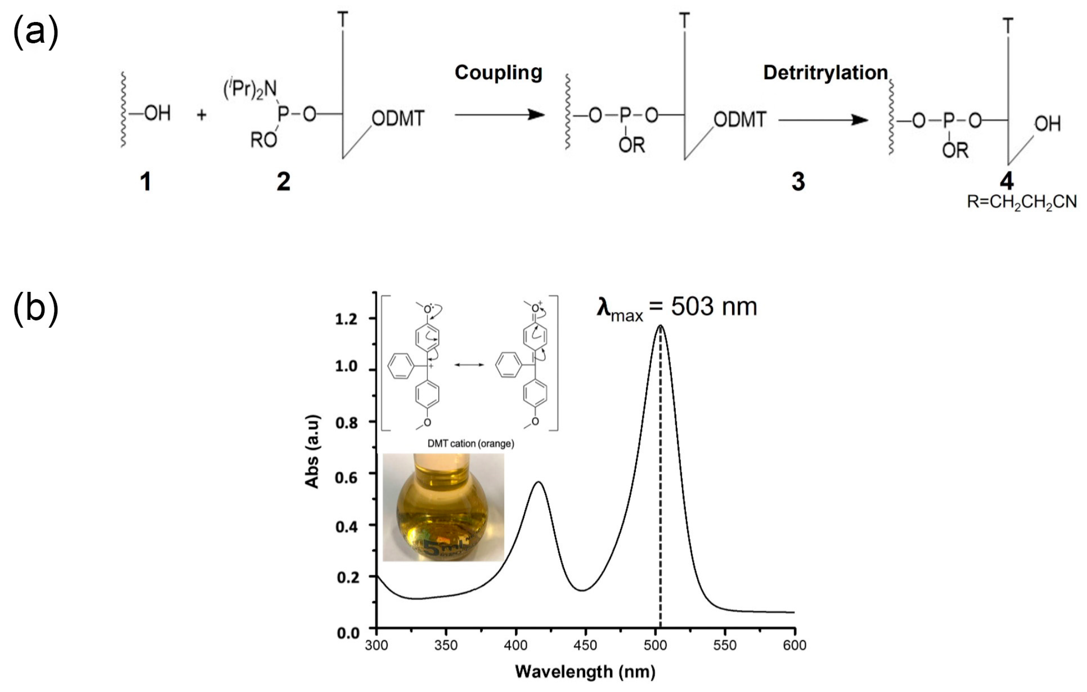 Ijms 24 04449 g004 Ijms 24 04449 g004