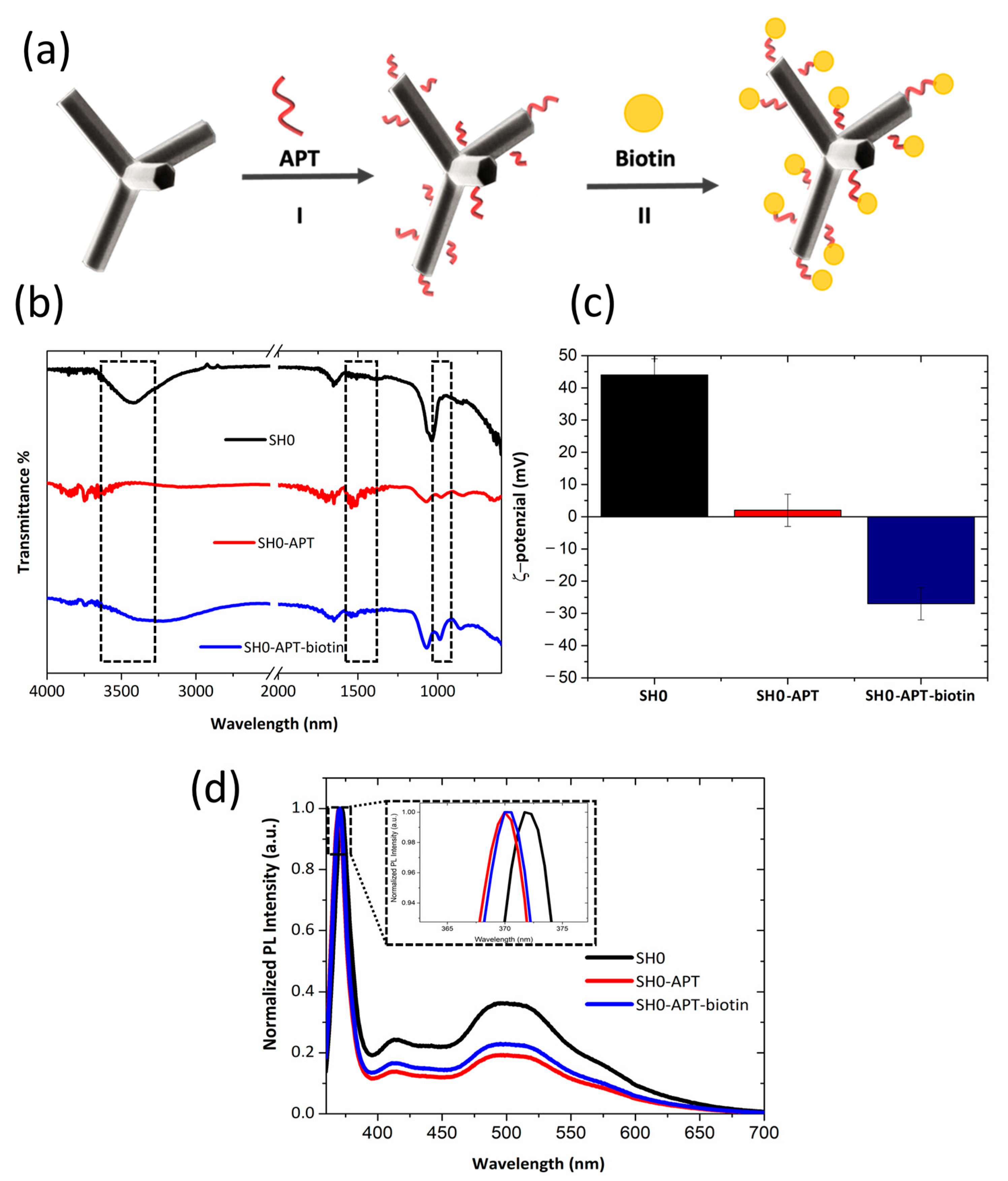 Ijms 24 04449 g005 Ijms 24 04449 g005