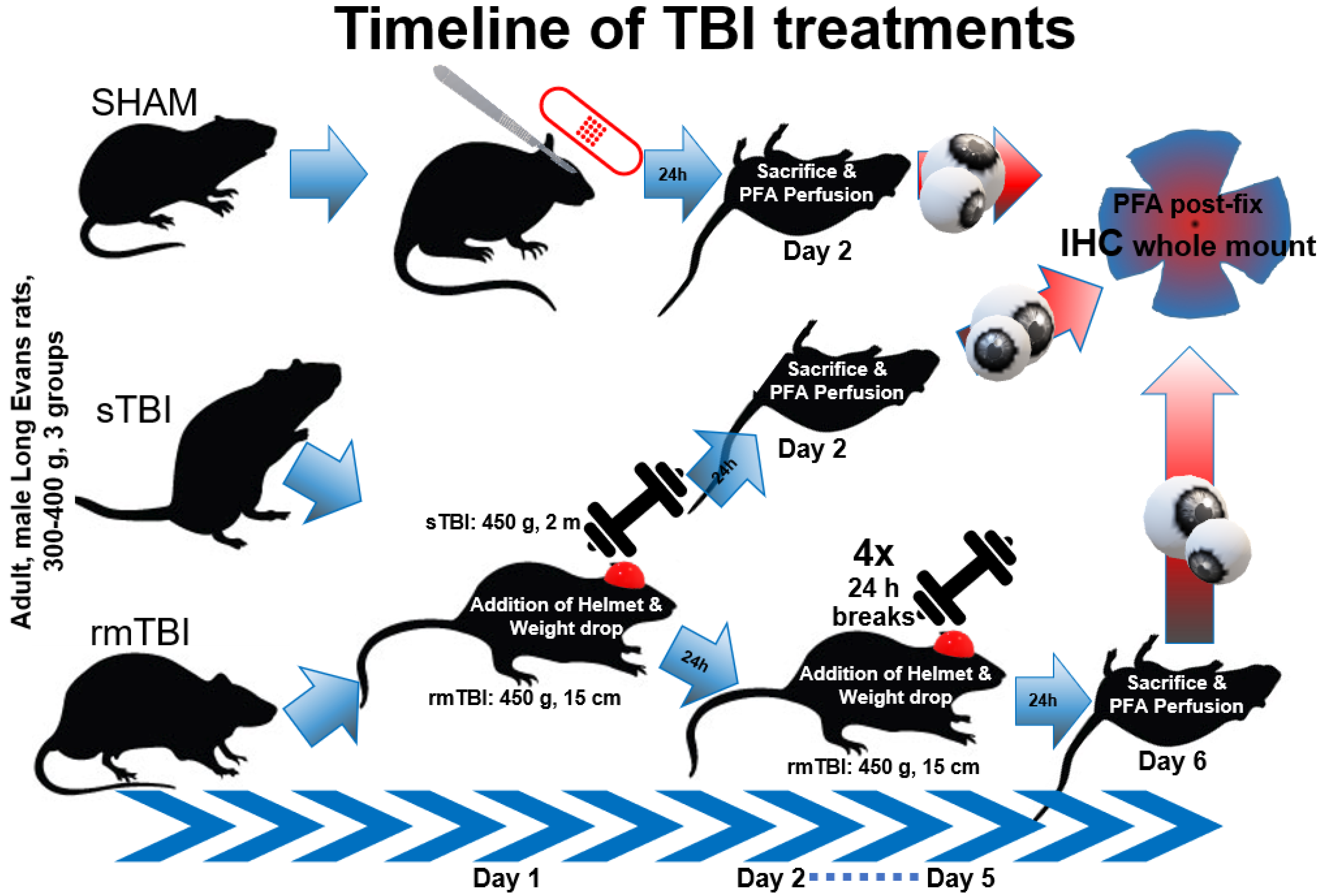 Ijms 24 04451 g001 Ijms 24 04451 g001