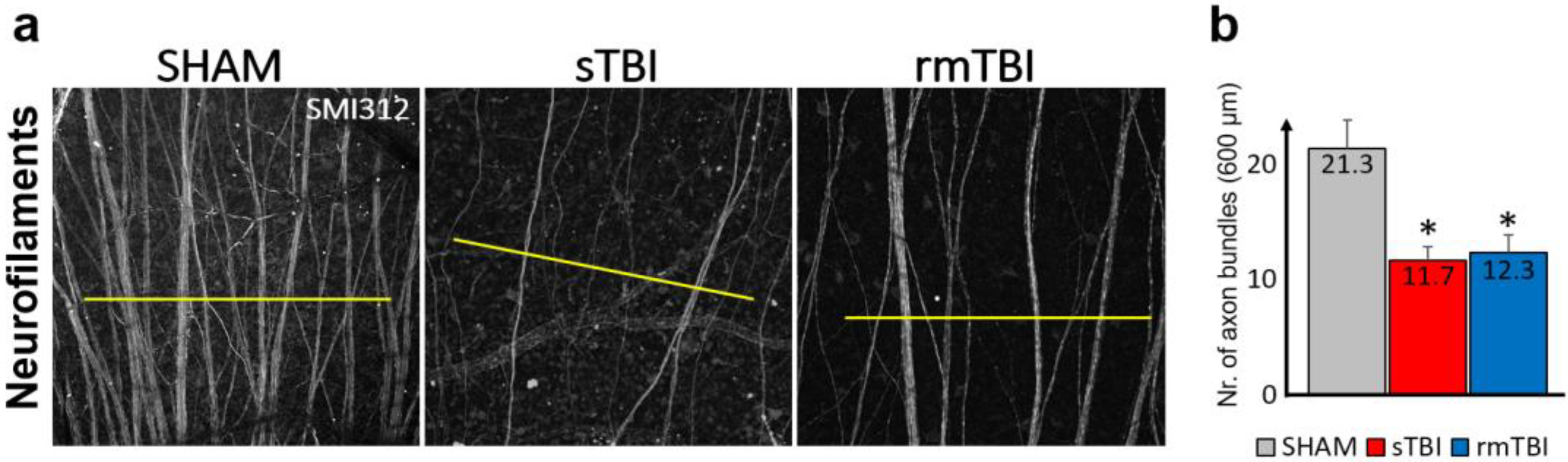 Ijms 24 04451 g005 Ijms 24 04451 g005