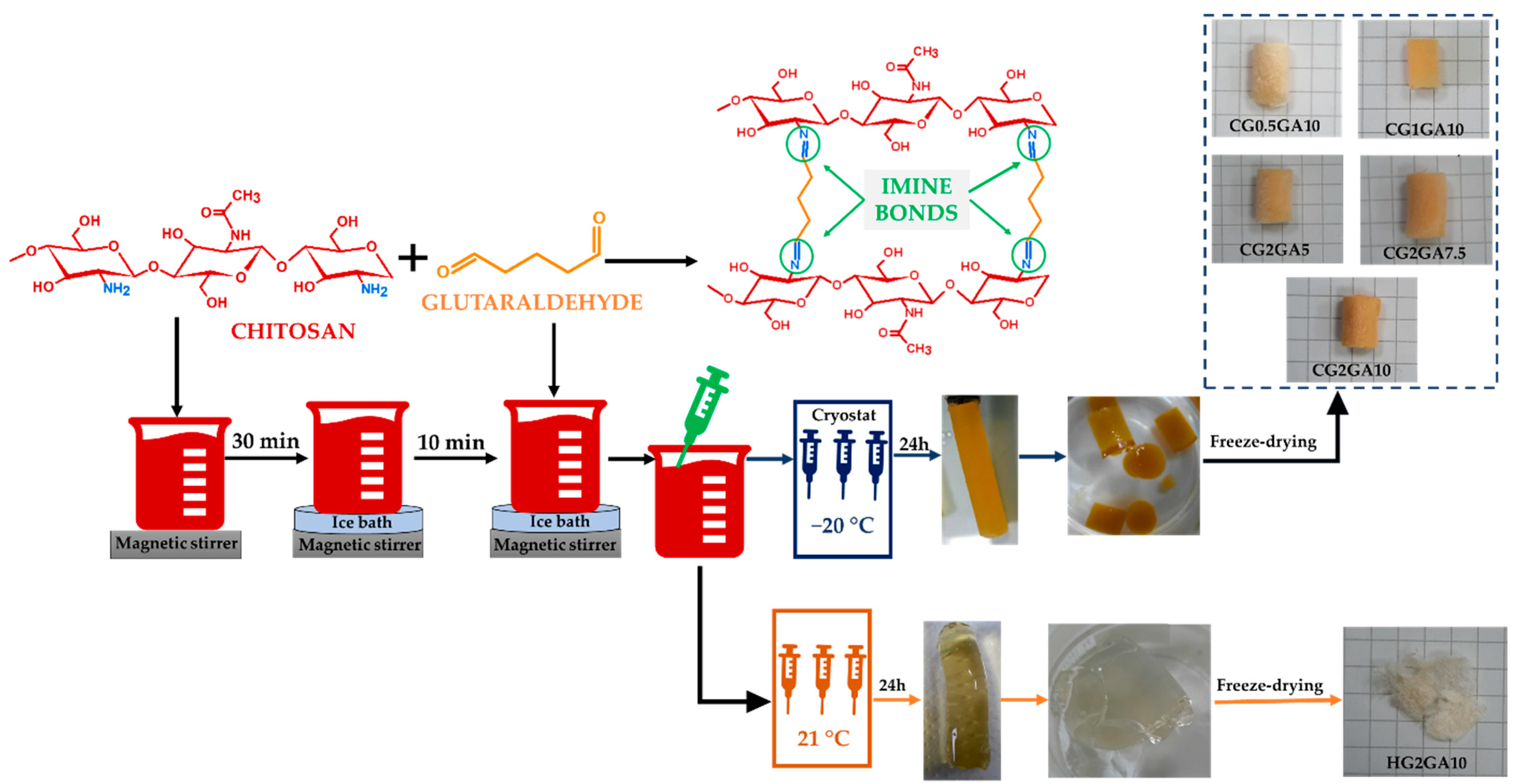 Ijms 24 04452 sch001