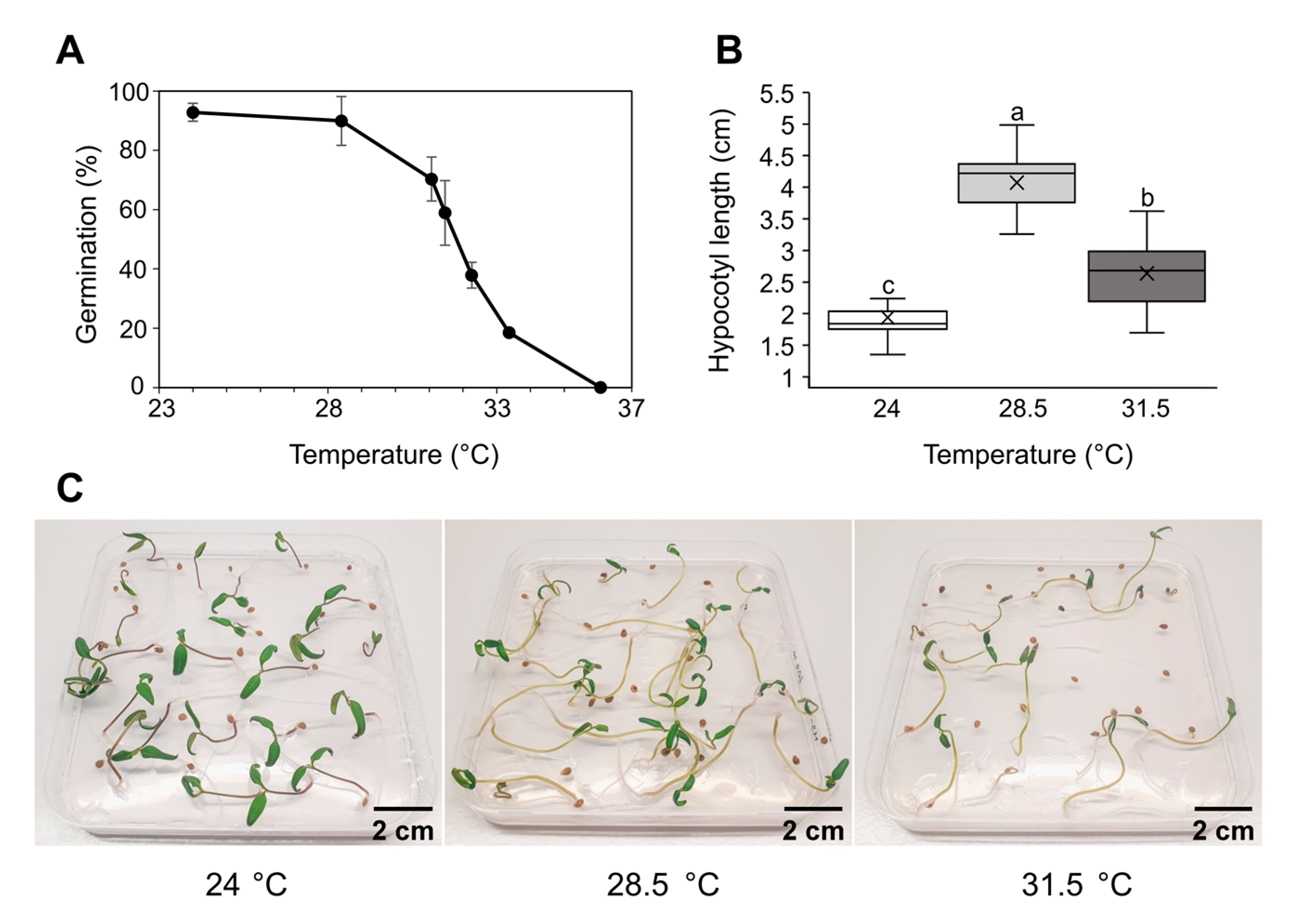 IJMS Free FullText Growth and Molecular Responses of Tomato to
