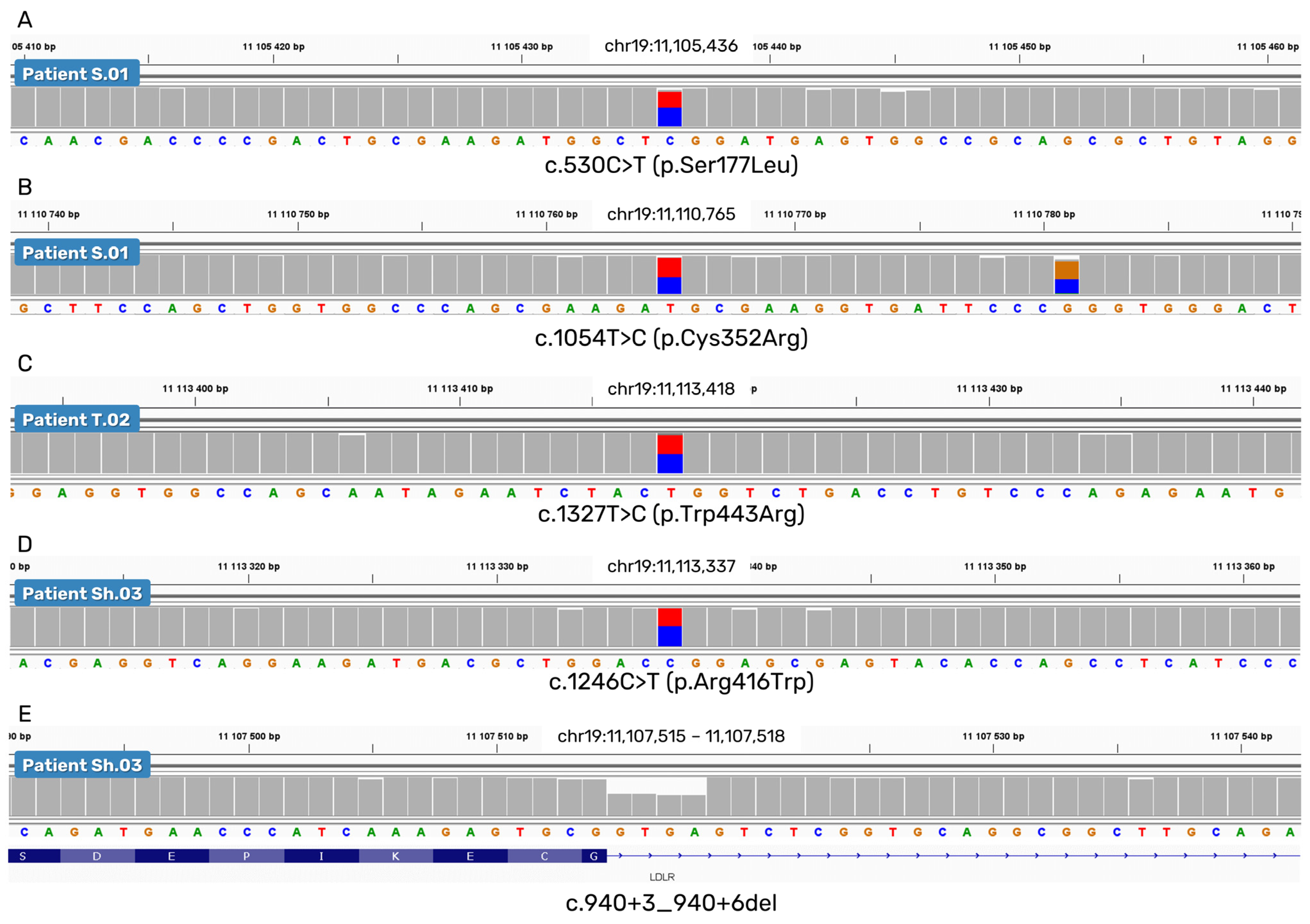Calling and Phasing of Single-Nucleotide and Structural