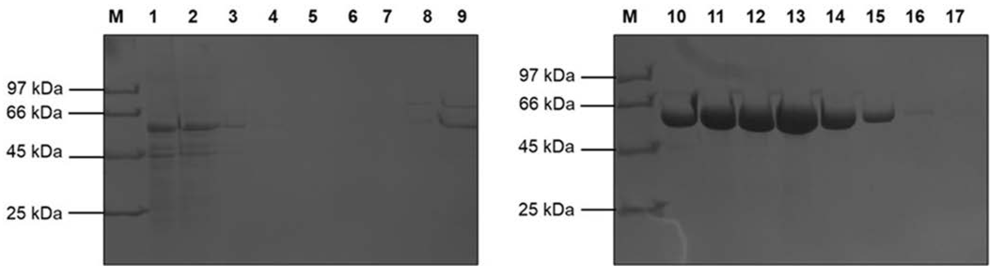 Ijms 24 04489 g002 Ijms 24 04489 g002