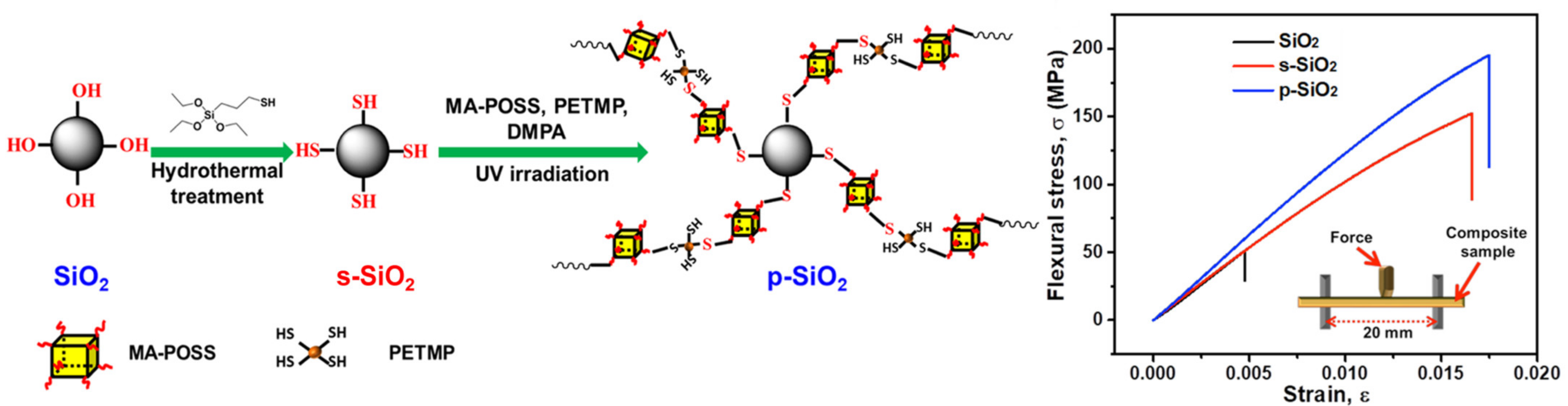 Ijms 24 04493 g005 Ijms 24 04493 g005