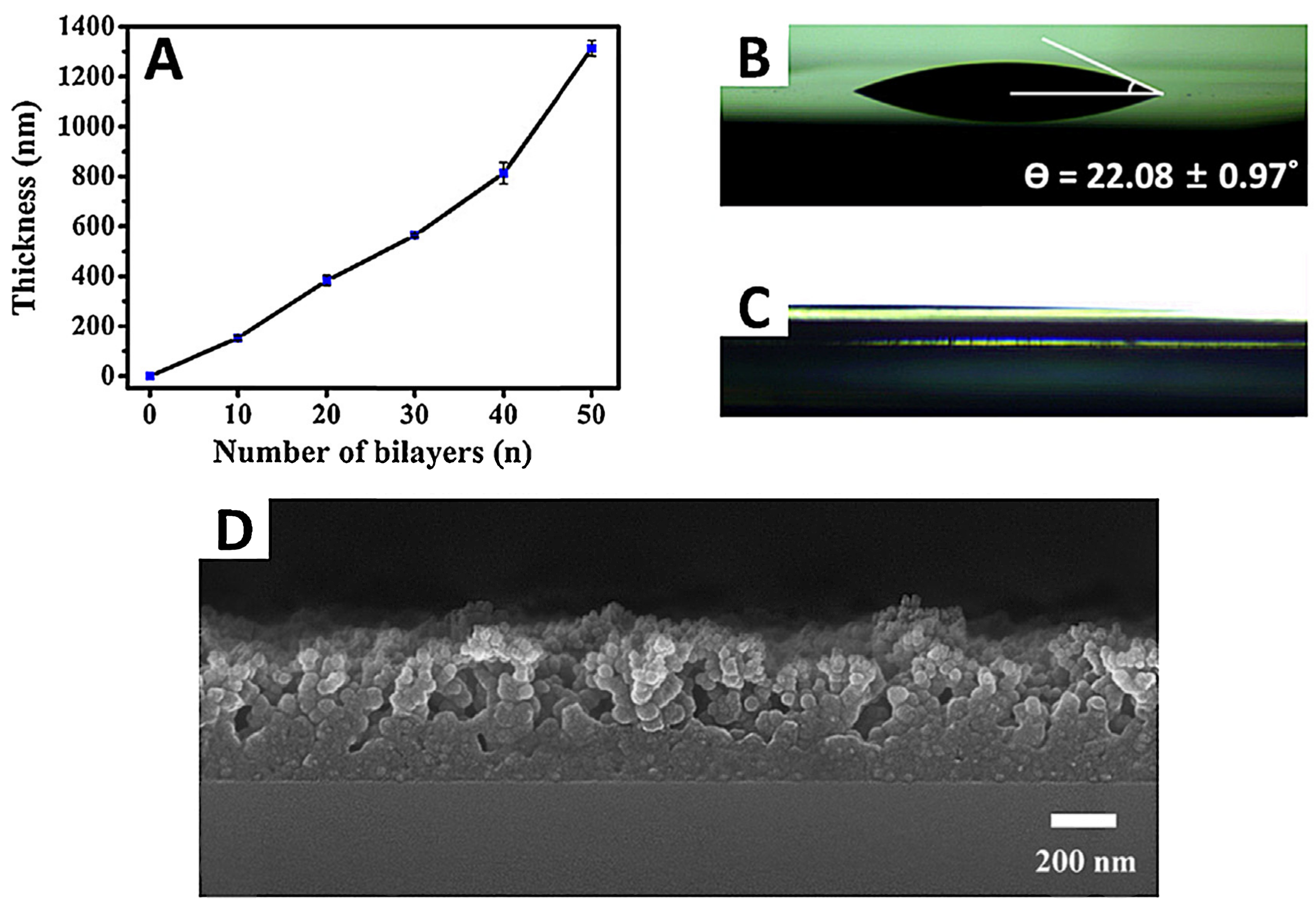 Ijms 24 04493 g006 Ijms 24 04493 g006