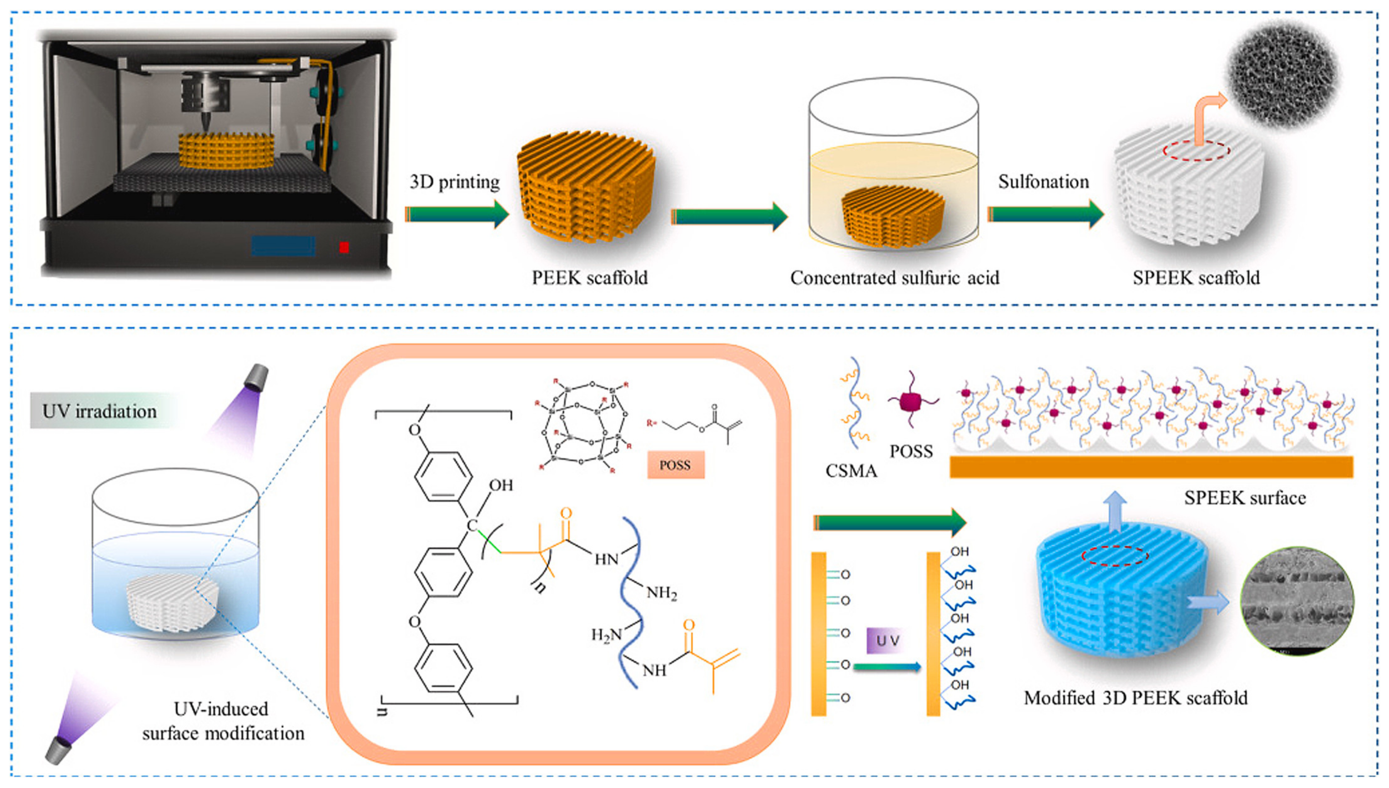 Ijms 24 04493 g009 Ijms 24 04493 g009