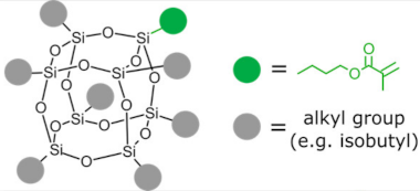 Ijms 24 04493 i001 Ijms 24 04493 i001