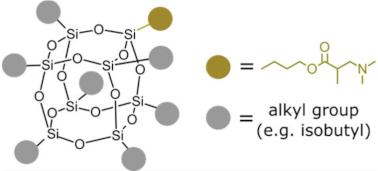 Ijms 24 04493 i004 Ijms 24 04493 i004