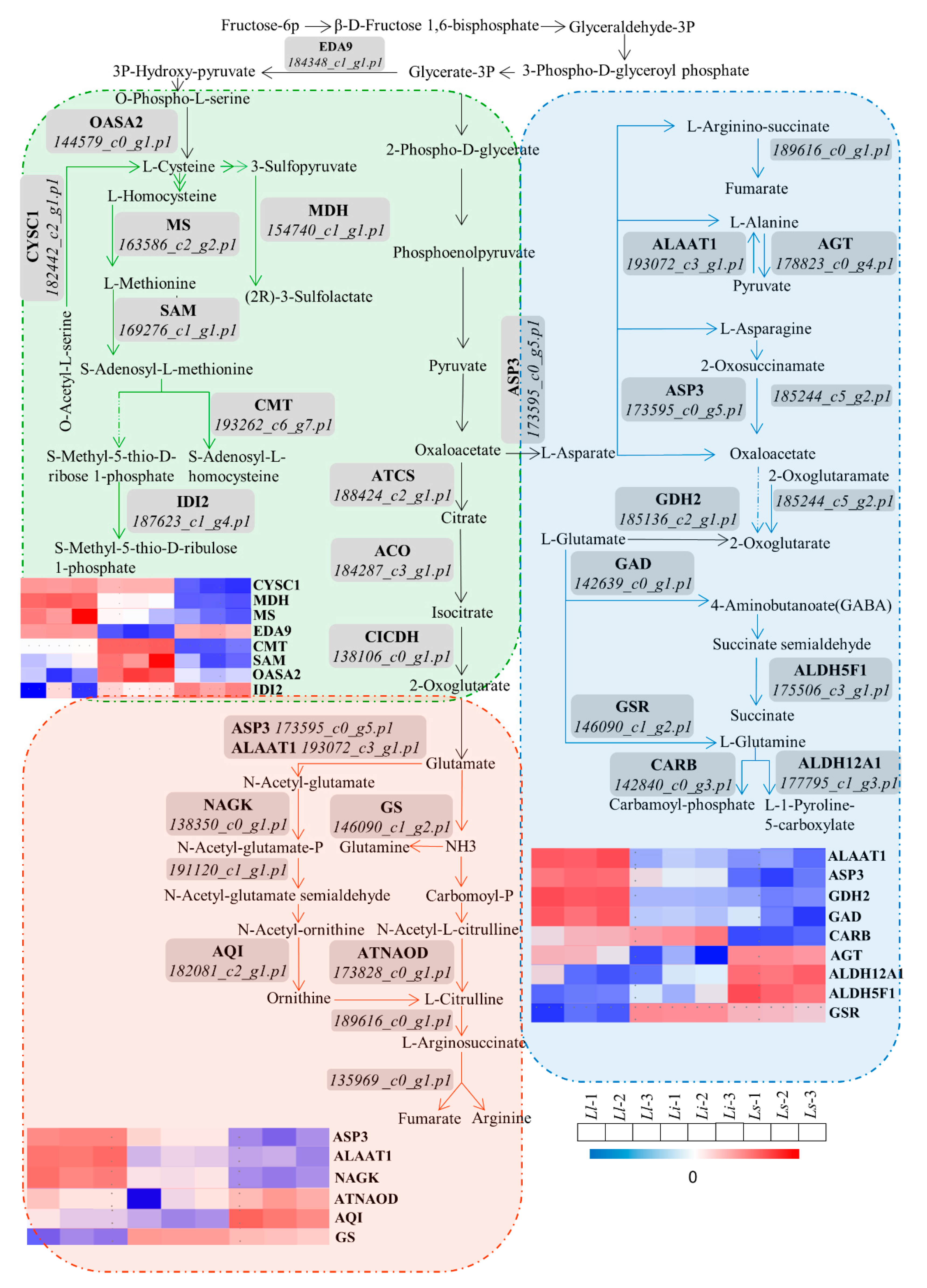 Ijms 24 04495 g003 Ijms 24 04495 g003