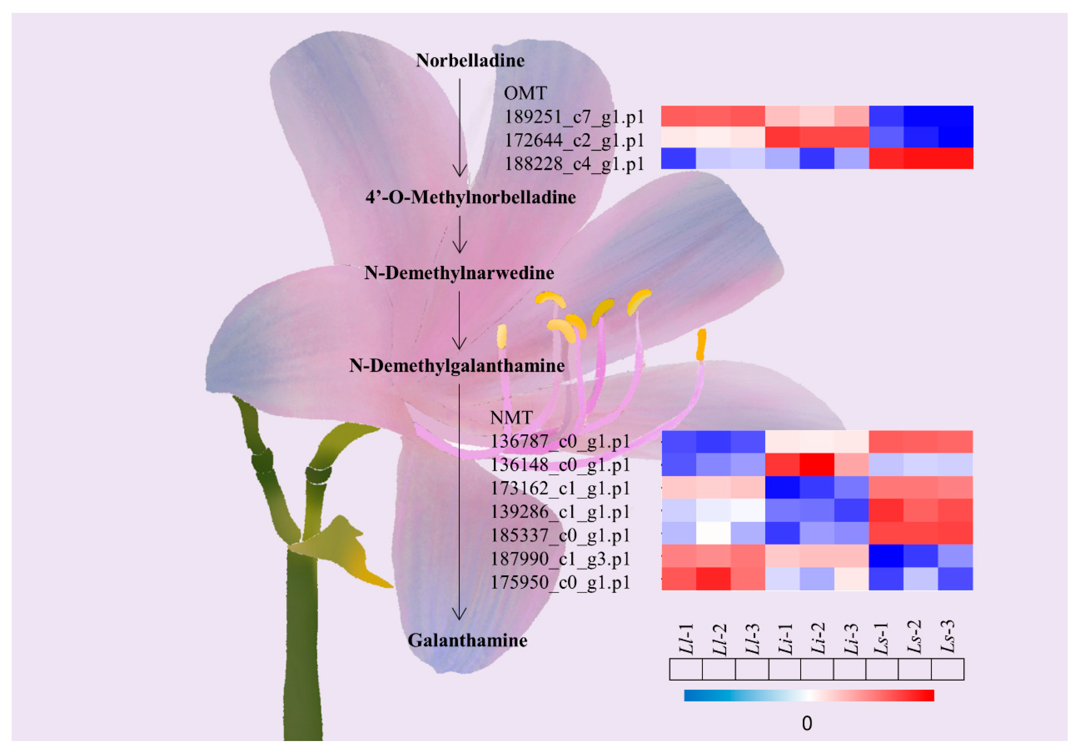 Ijms 24 04495 g004 Ijms 24 04495 g004