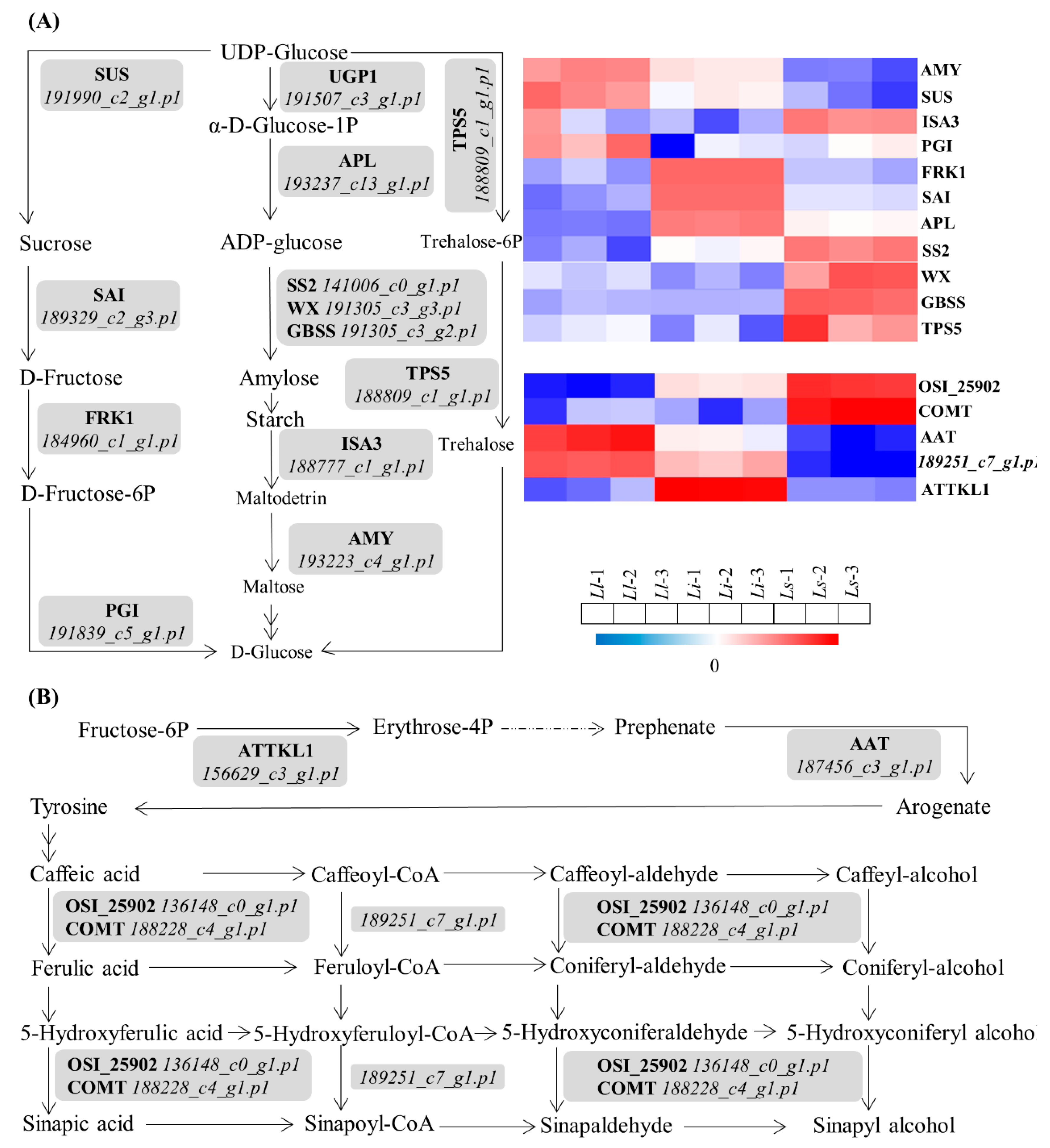 Ijms 24 04495 g005 Ijms 24 04495 g005