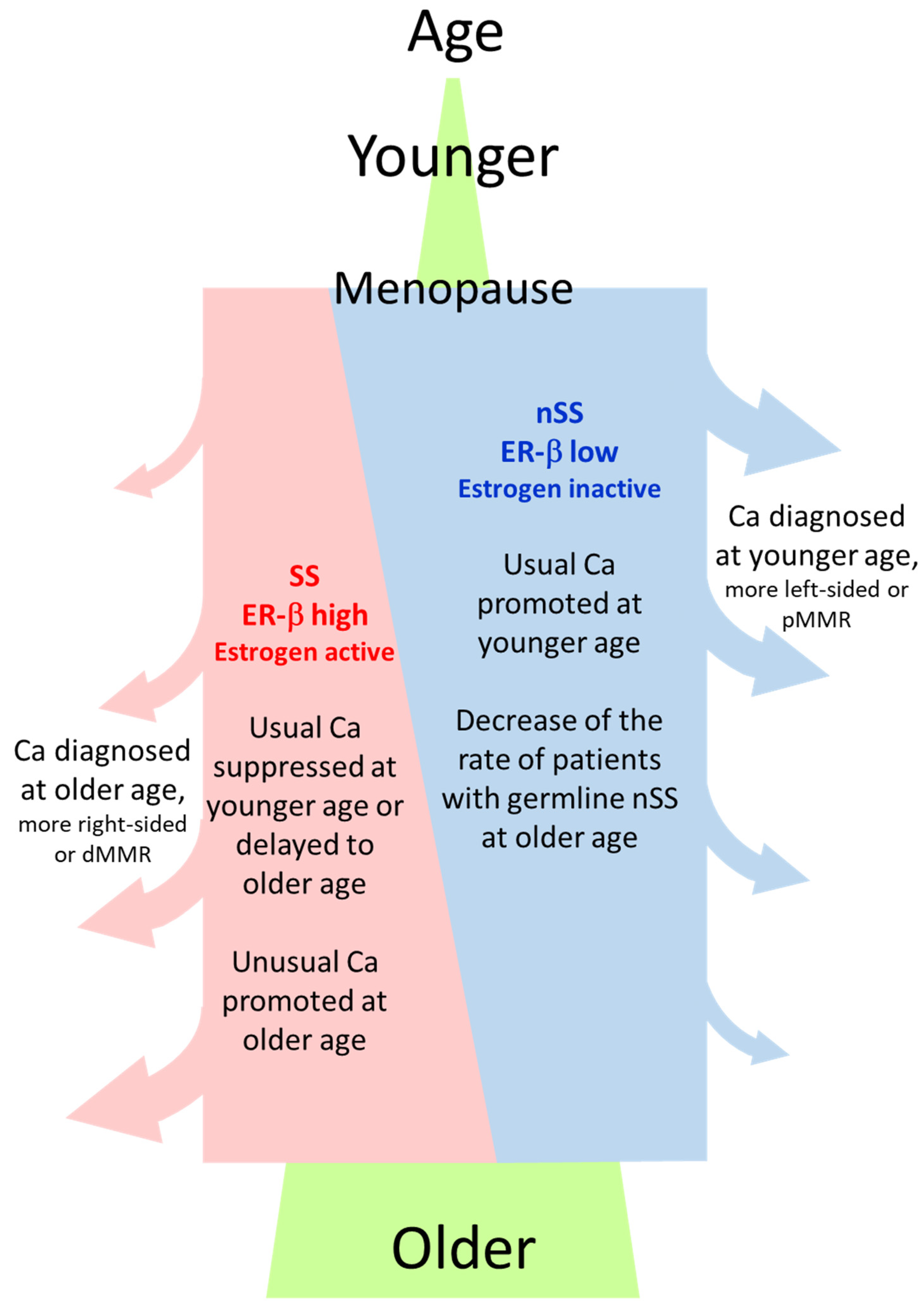 Ijms 24 04502 g006 Ijms 24 04502 g006