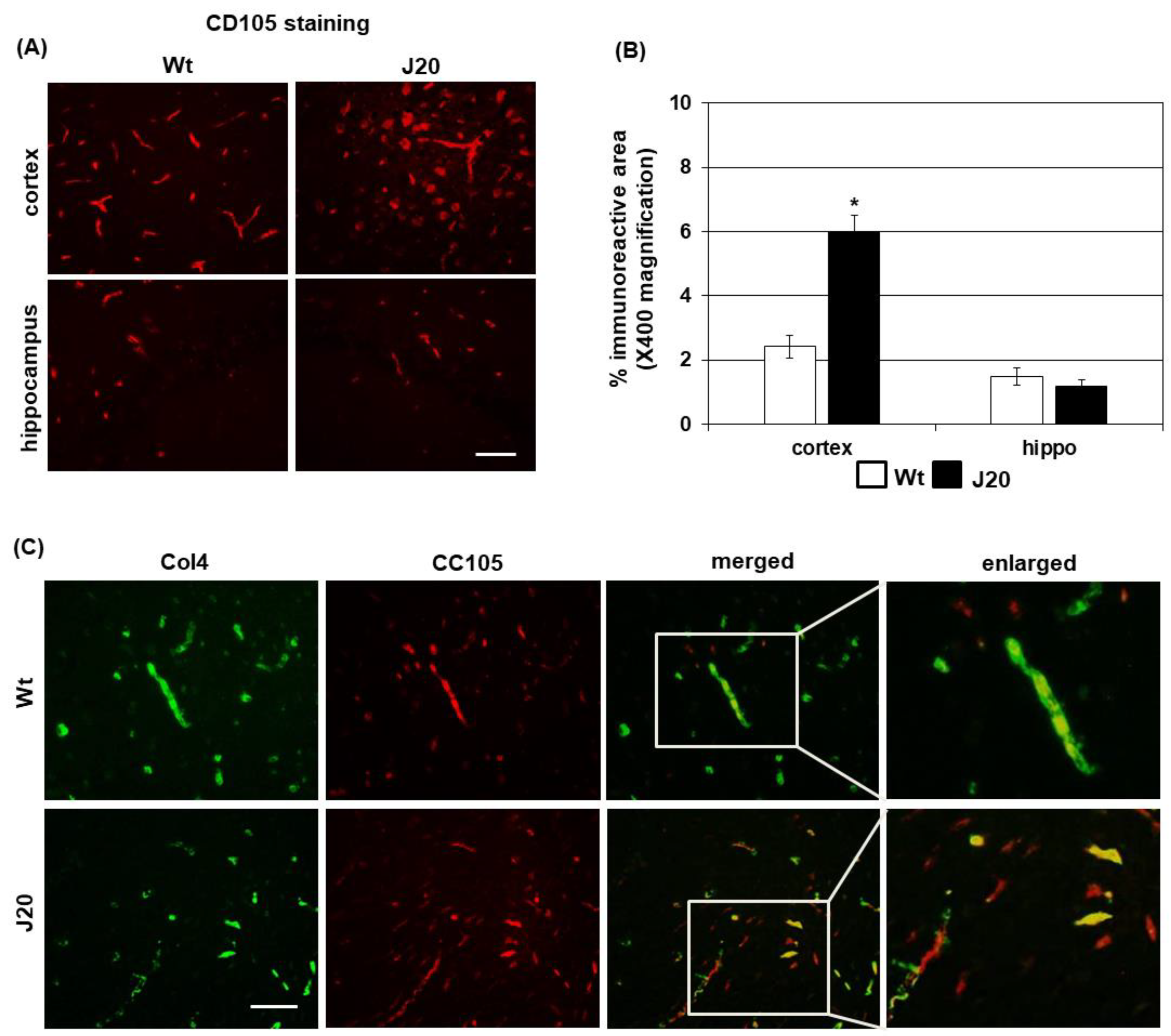 Ijms 24 04510 g002 Ijms 24 04510 g002