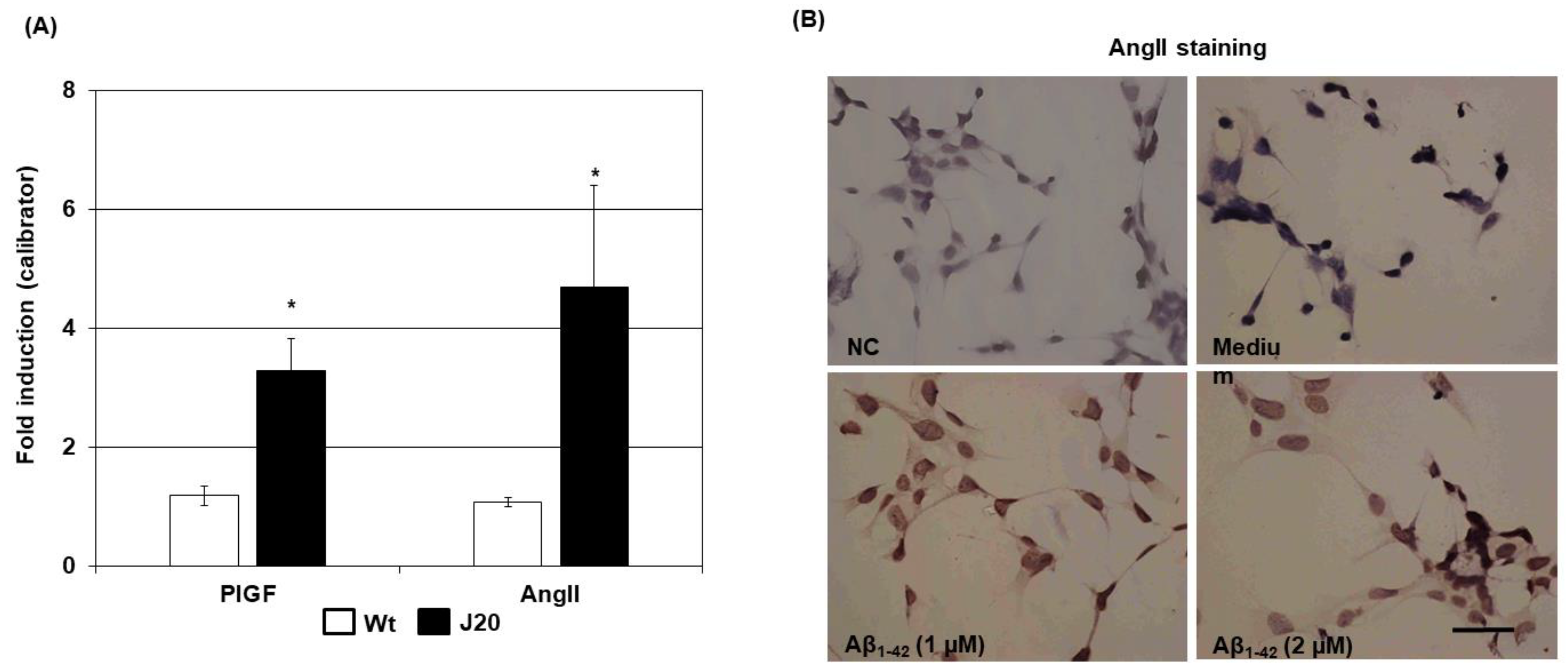 Ijms 24 04510 g006 Ijms 24 04510 g006