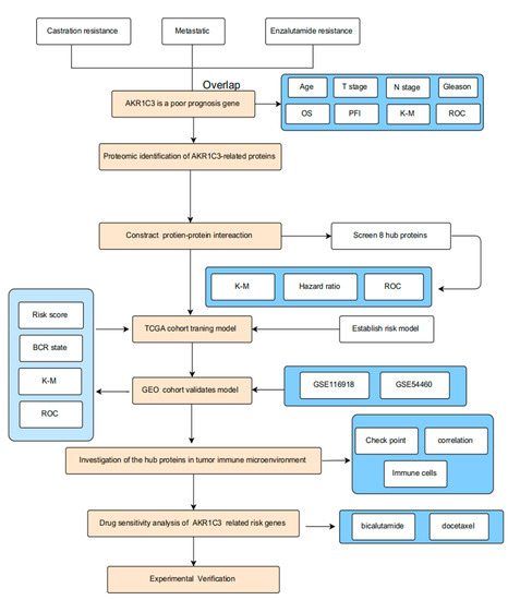 ミルク スタイリング剤 @ スタイリング剤 tomo パスタイムZX-L | 祐徳