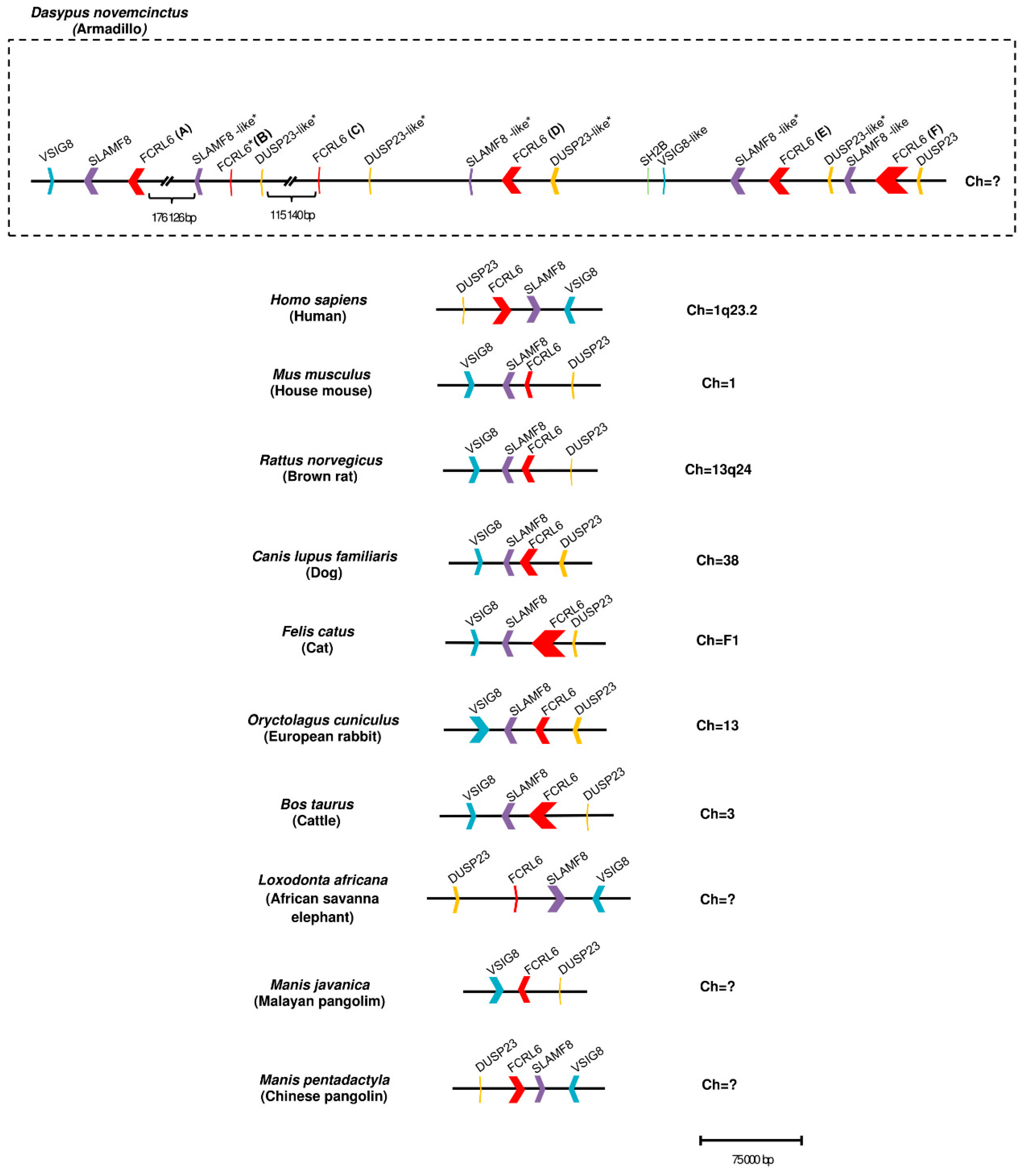 Ijms 24 04531 g001 Ijms 24 04531 g001
