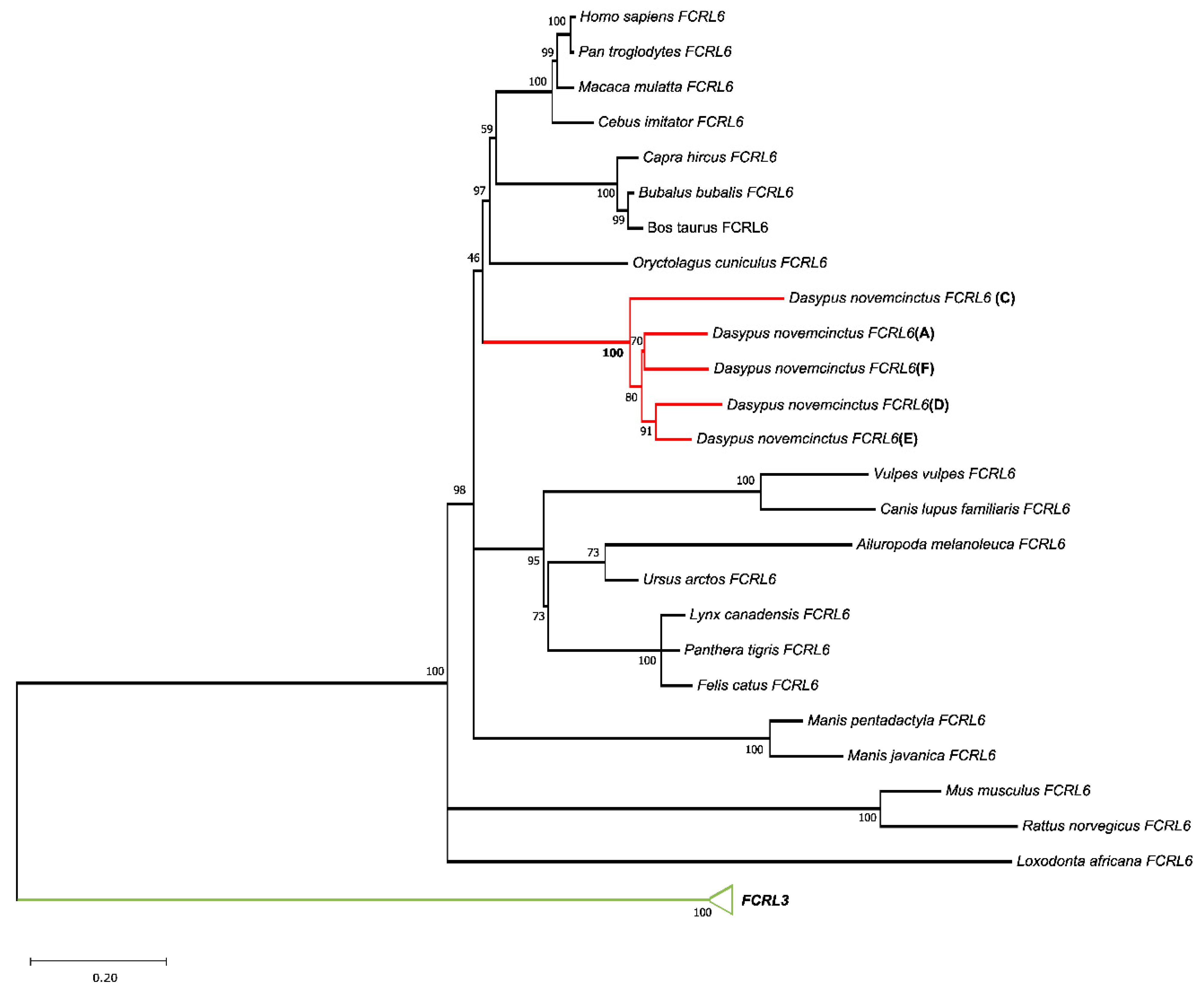 Ijms 24 04531 g002 Ijms 24 04531 g002