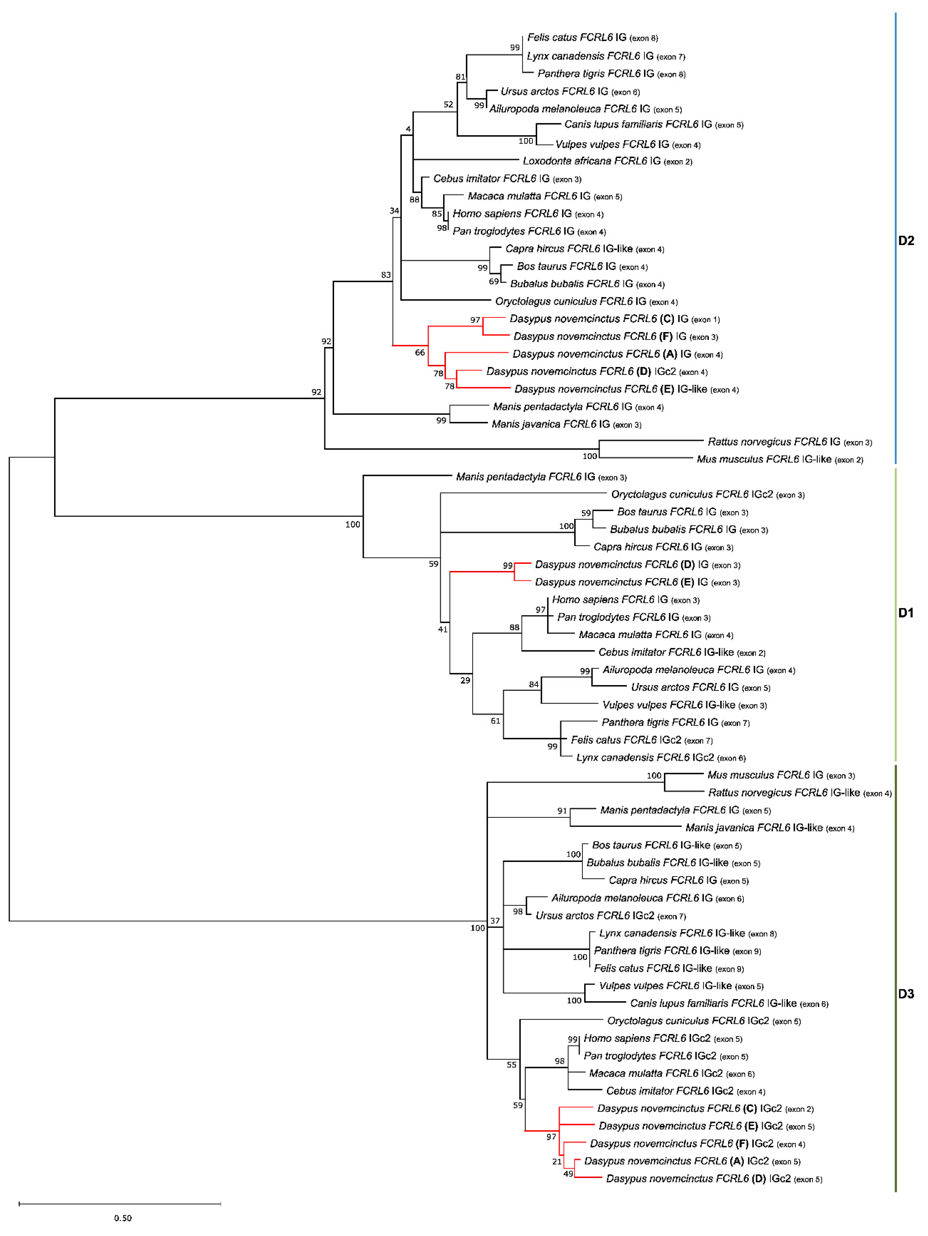 Ijms 24 04531 g003 Ijms 24 04531 g003