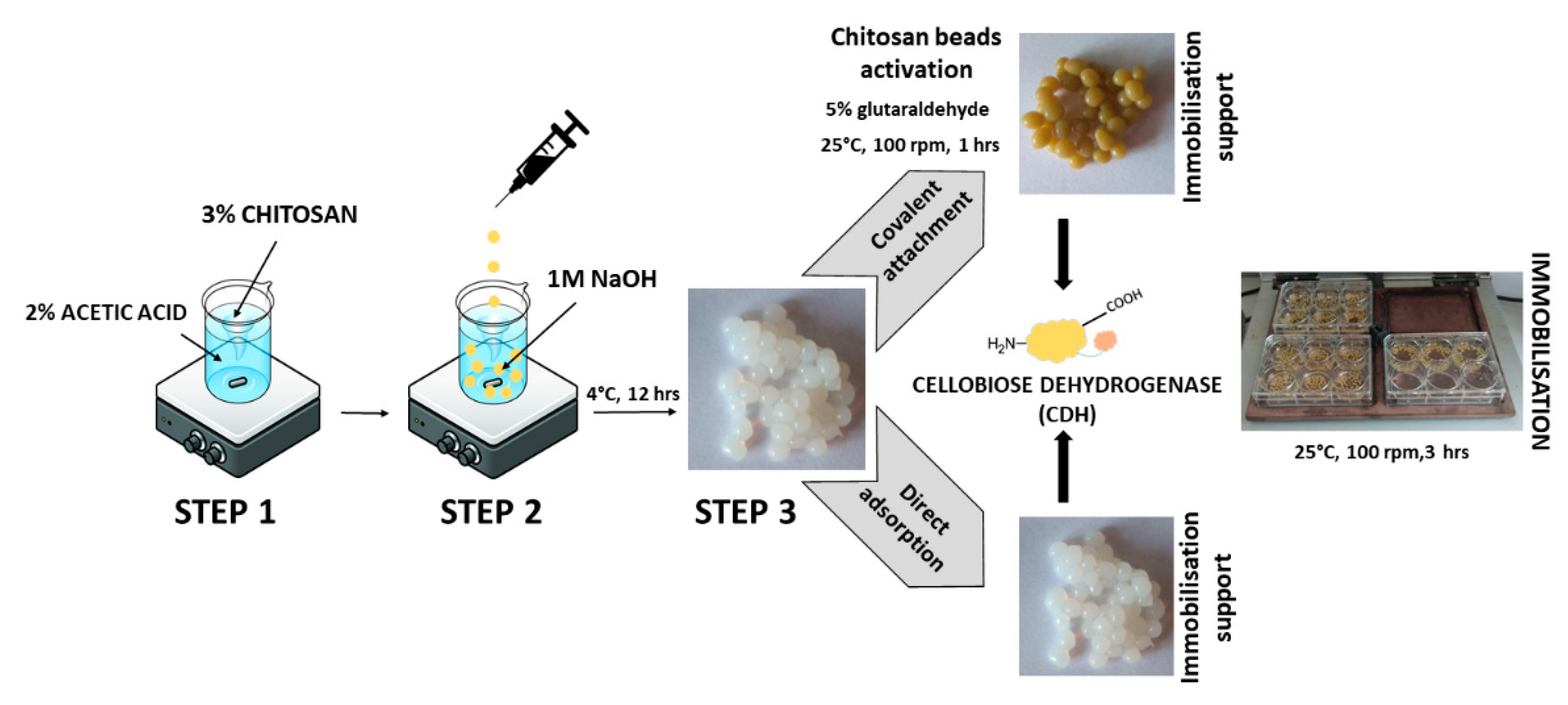 Ijms 24 04535 g007 Ijms 24 04535 g007